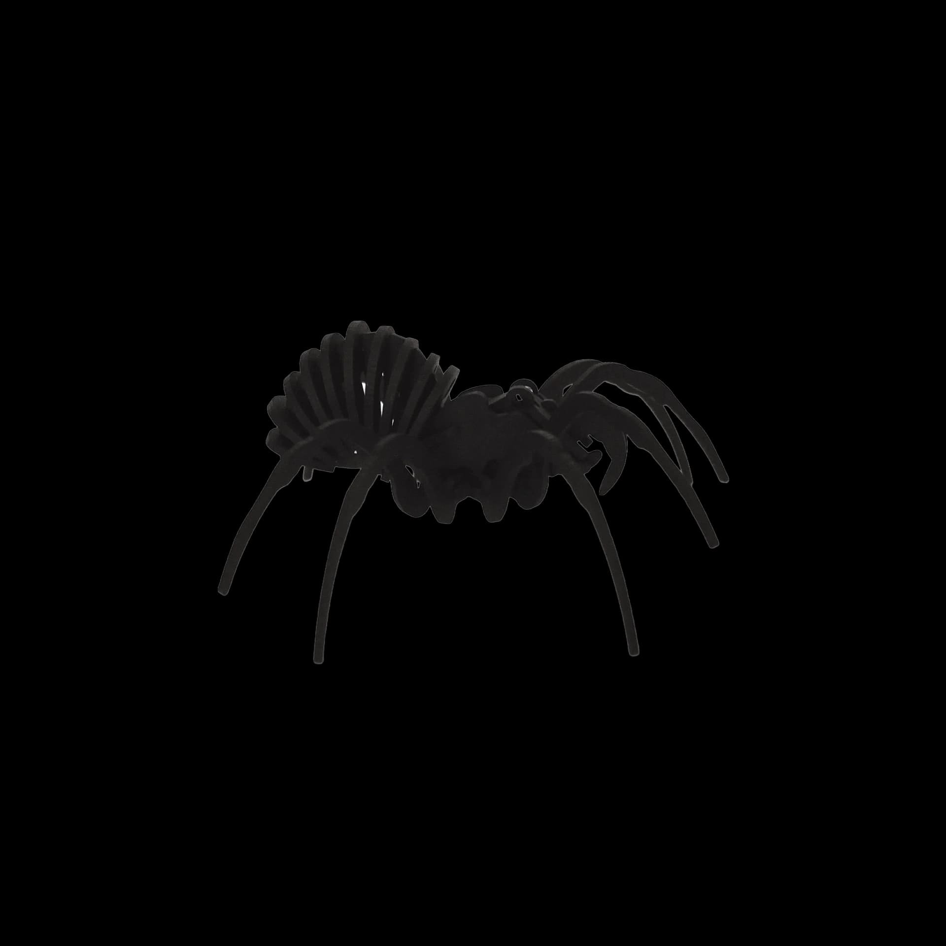 Araignée