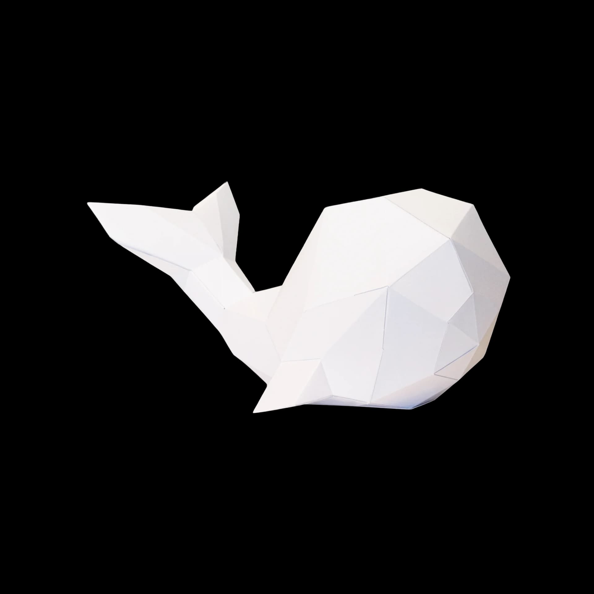 Baleine