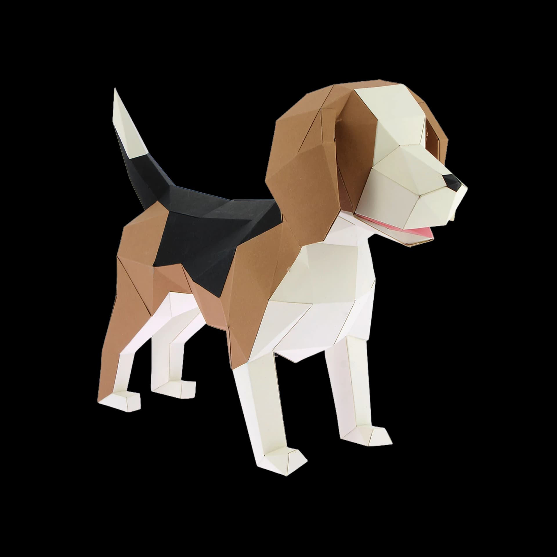 Beagle