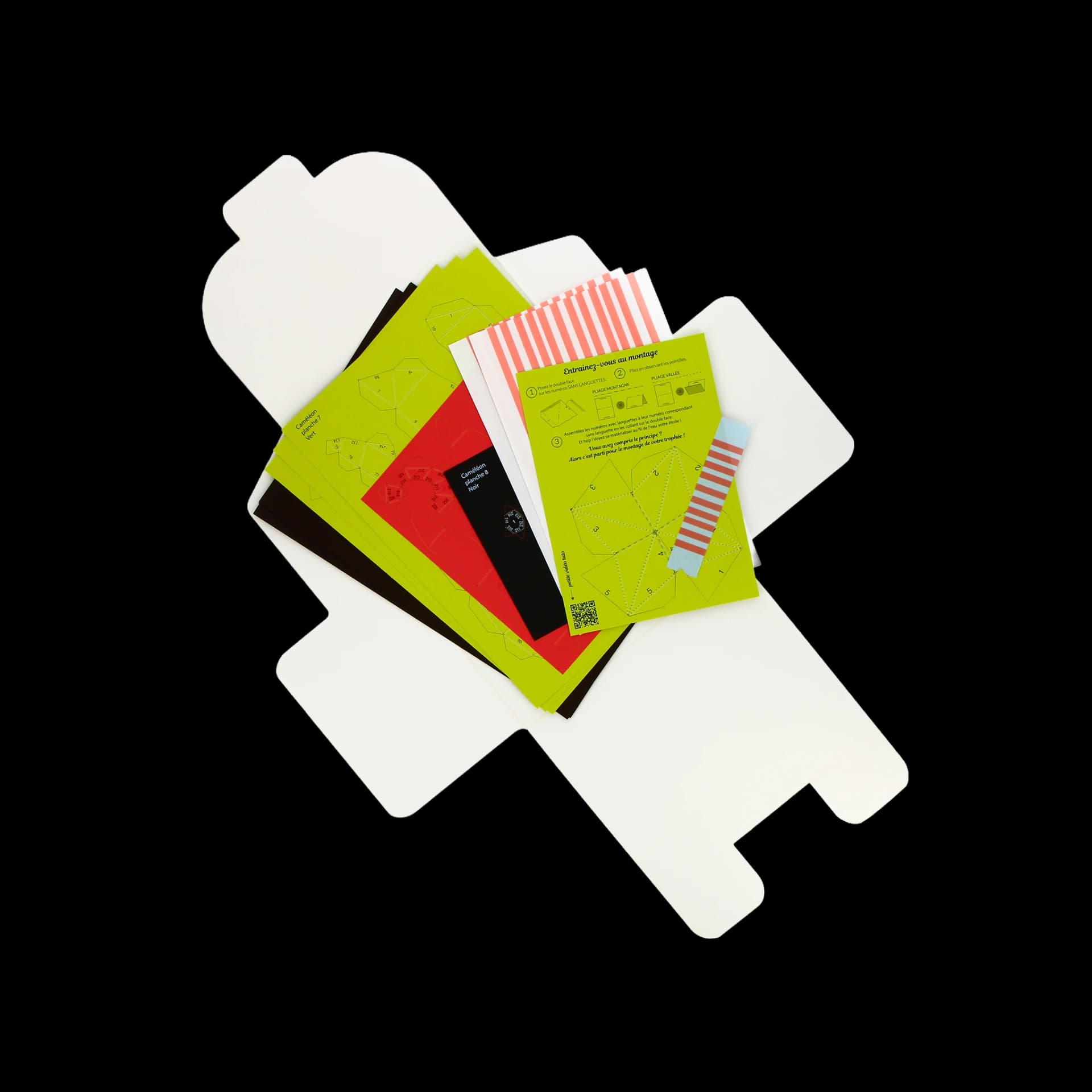 Contenu kit origami 3D en papier de caméléon