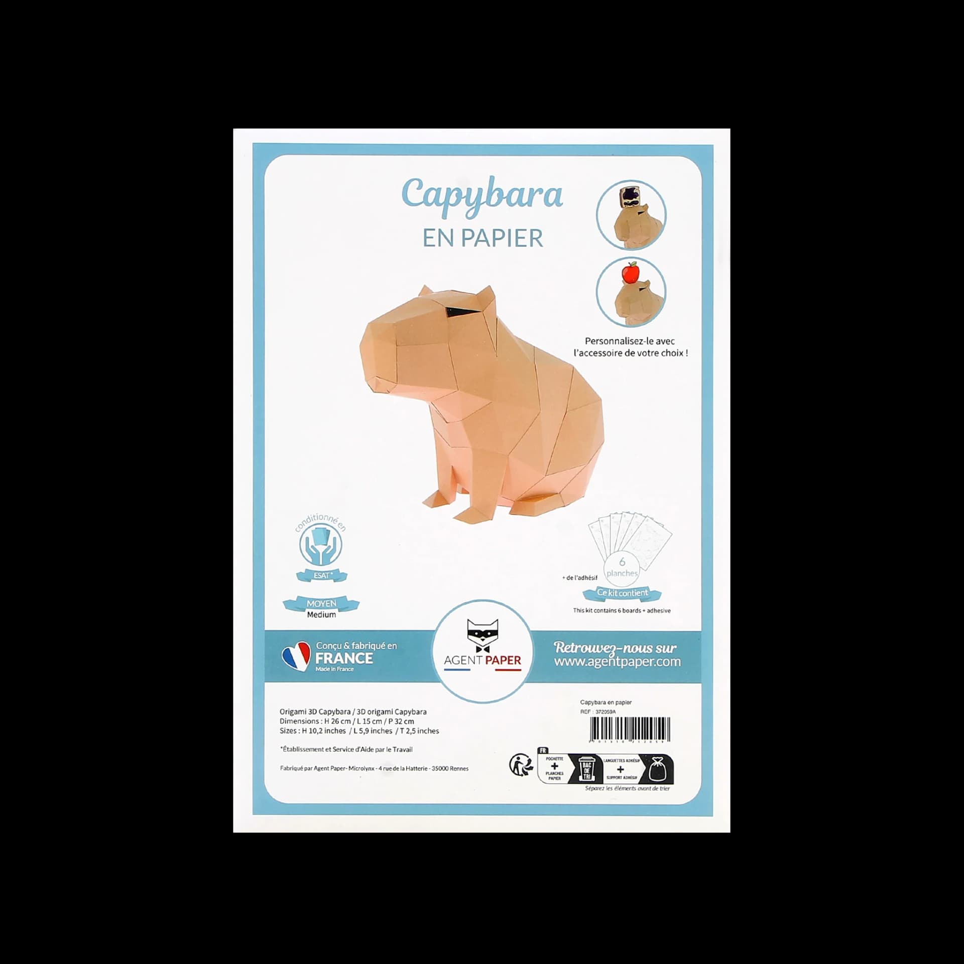 Kit origami 3D en papier de capybara