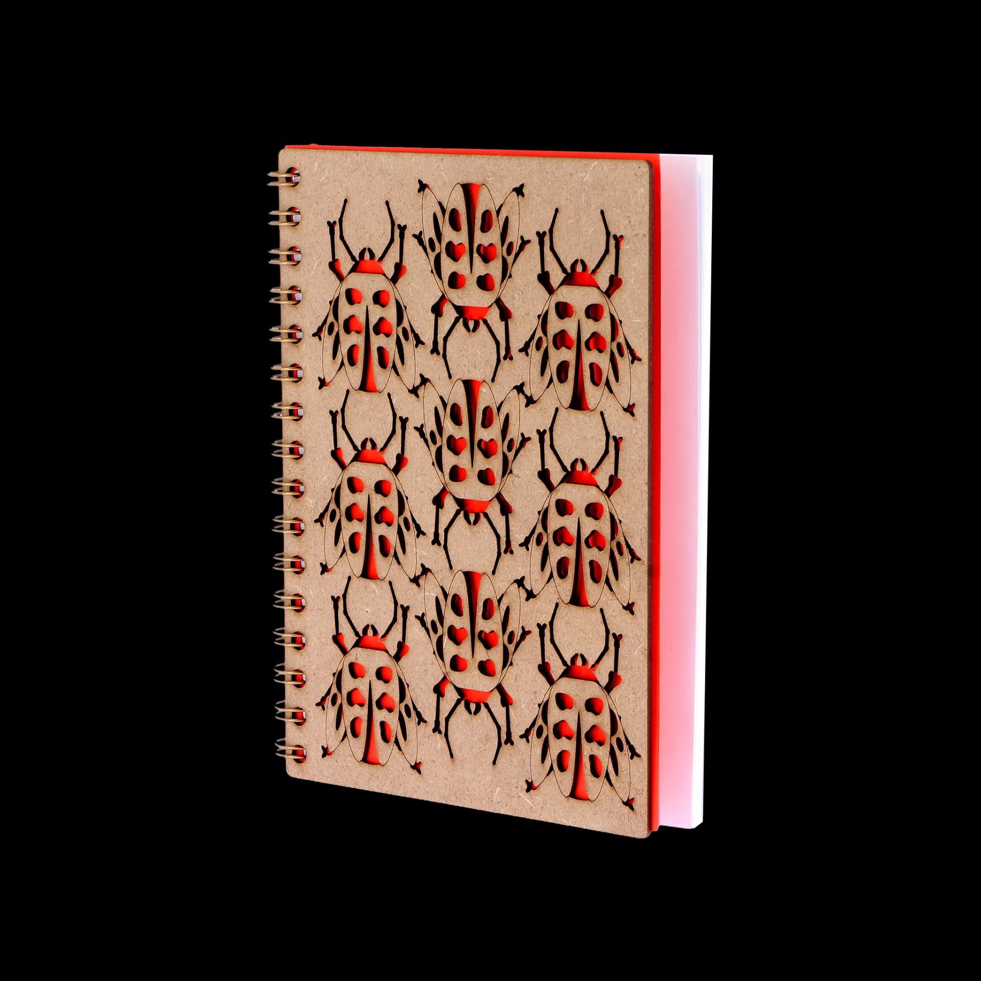 Carnet Insecte