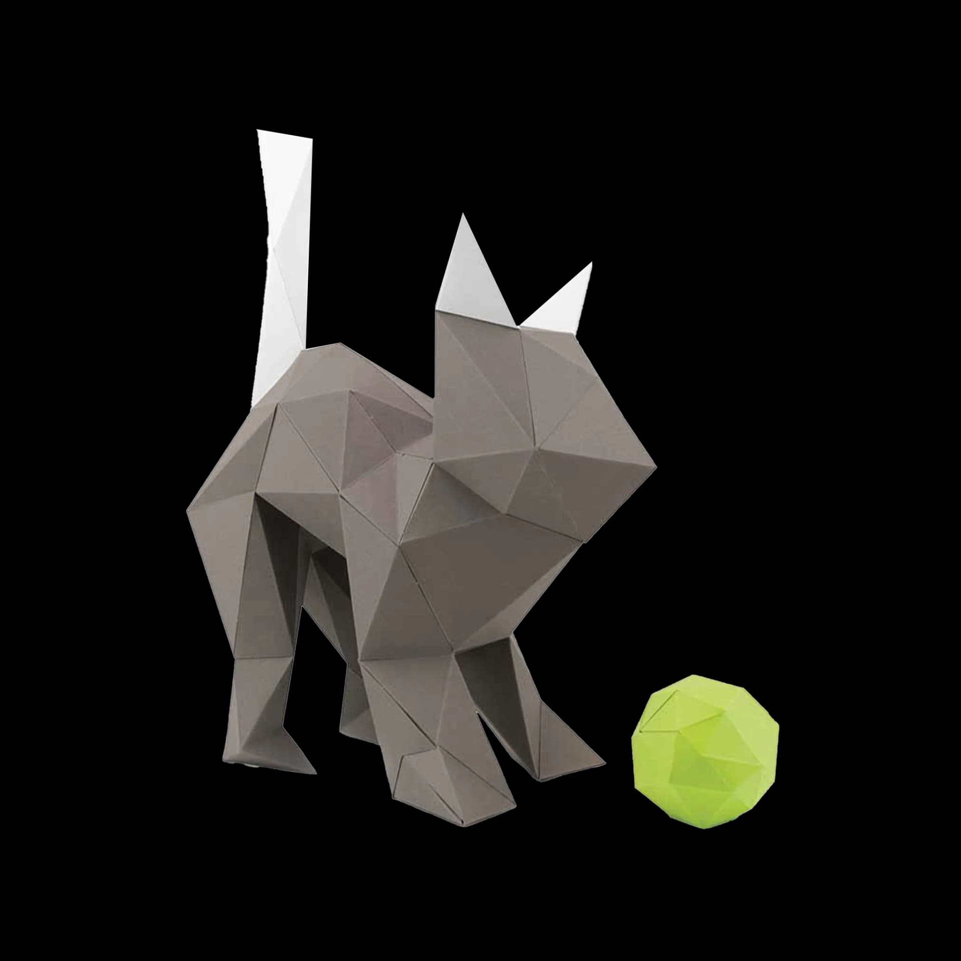 Chat Kitty