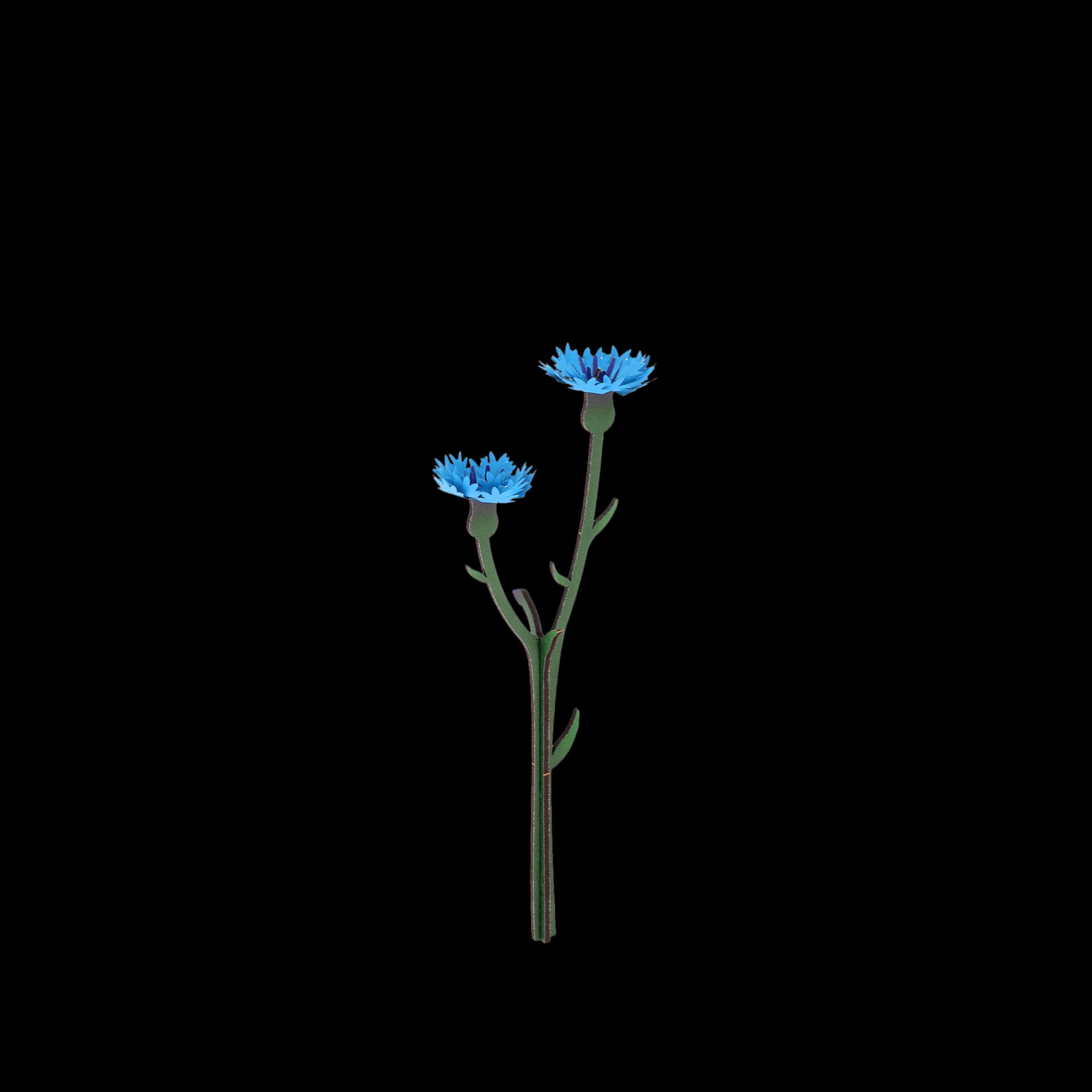 Décoration construction florale BLEUET