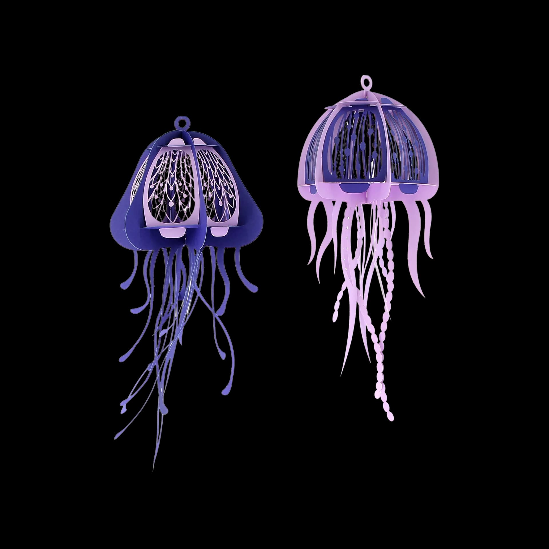Duo de méduses
