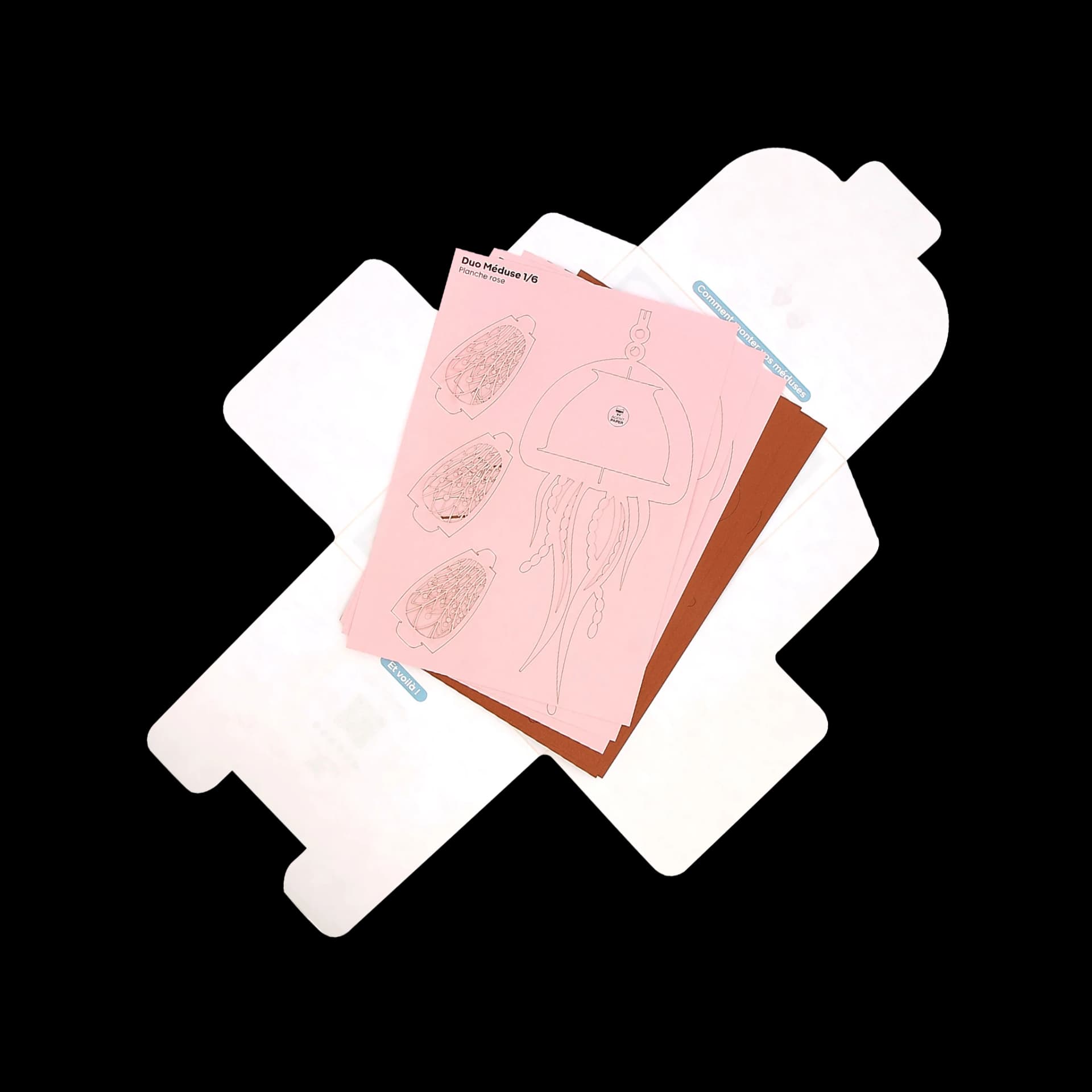 Packaging ouvert de duo de méduse en papier Corail