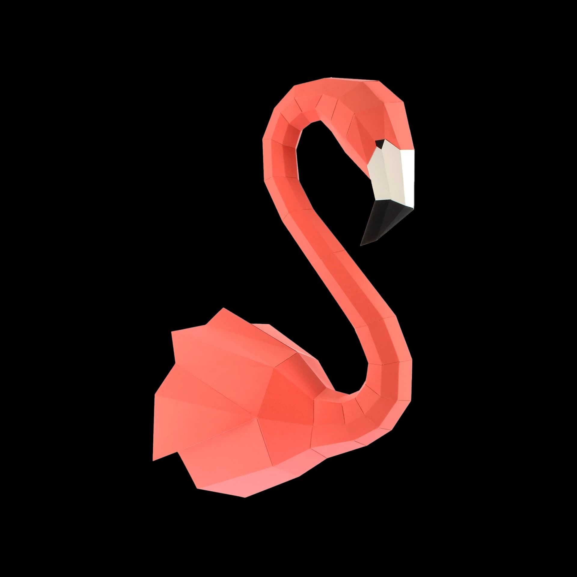 Flamant rose