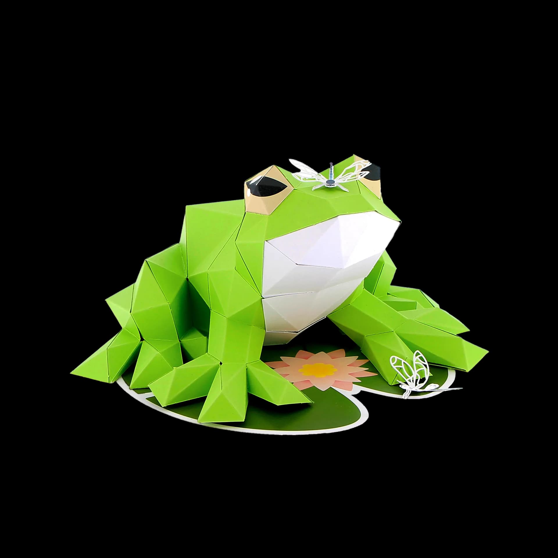 Grenouille en papier 3D Rainette avec ses accessoires