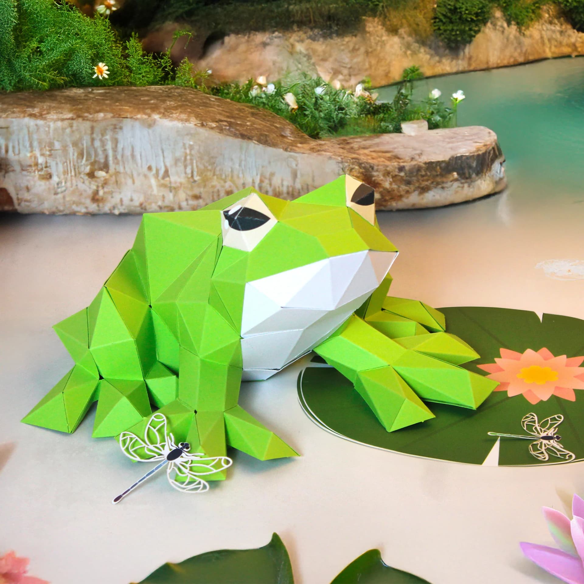 Grenouille en papier 3D Rainette en situation