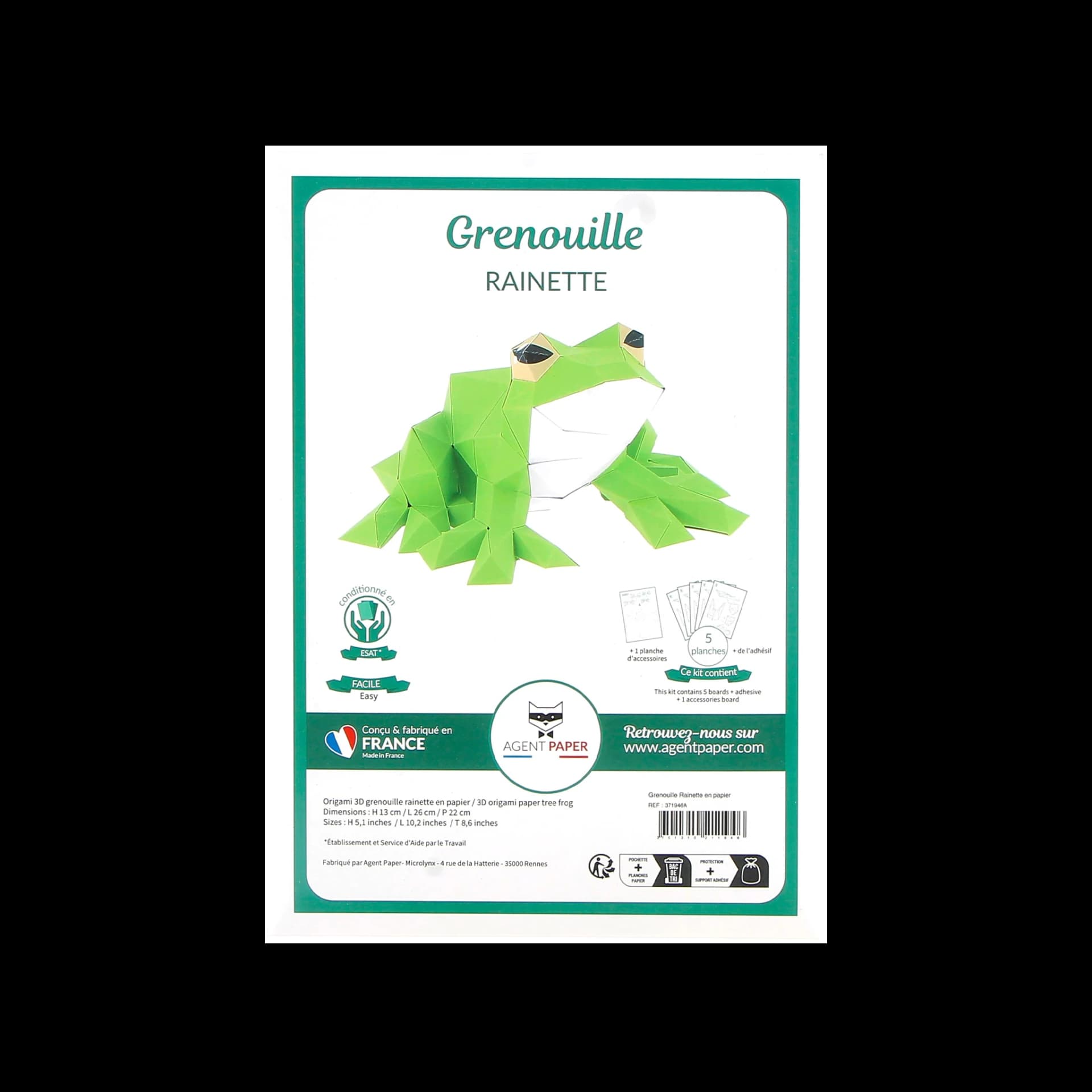Packaging de Grenouille en papier 3D Rainette