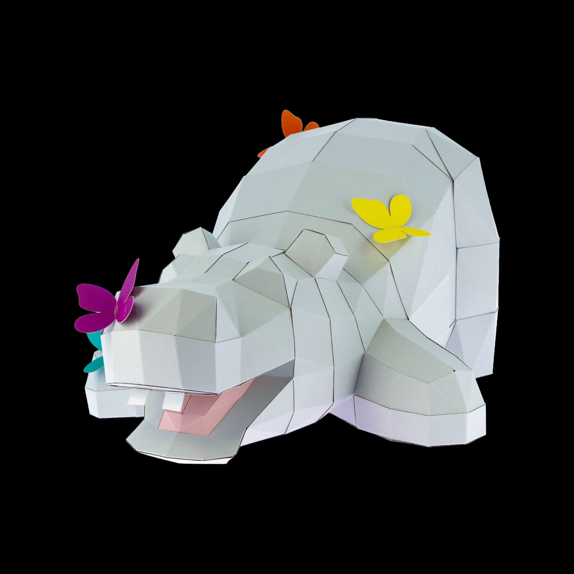 Hippo papillon