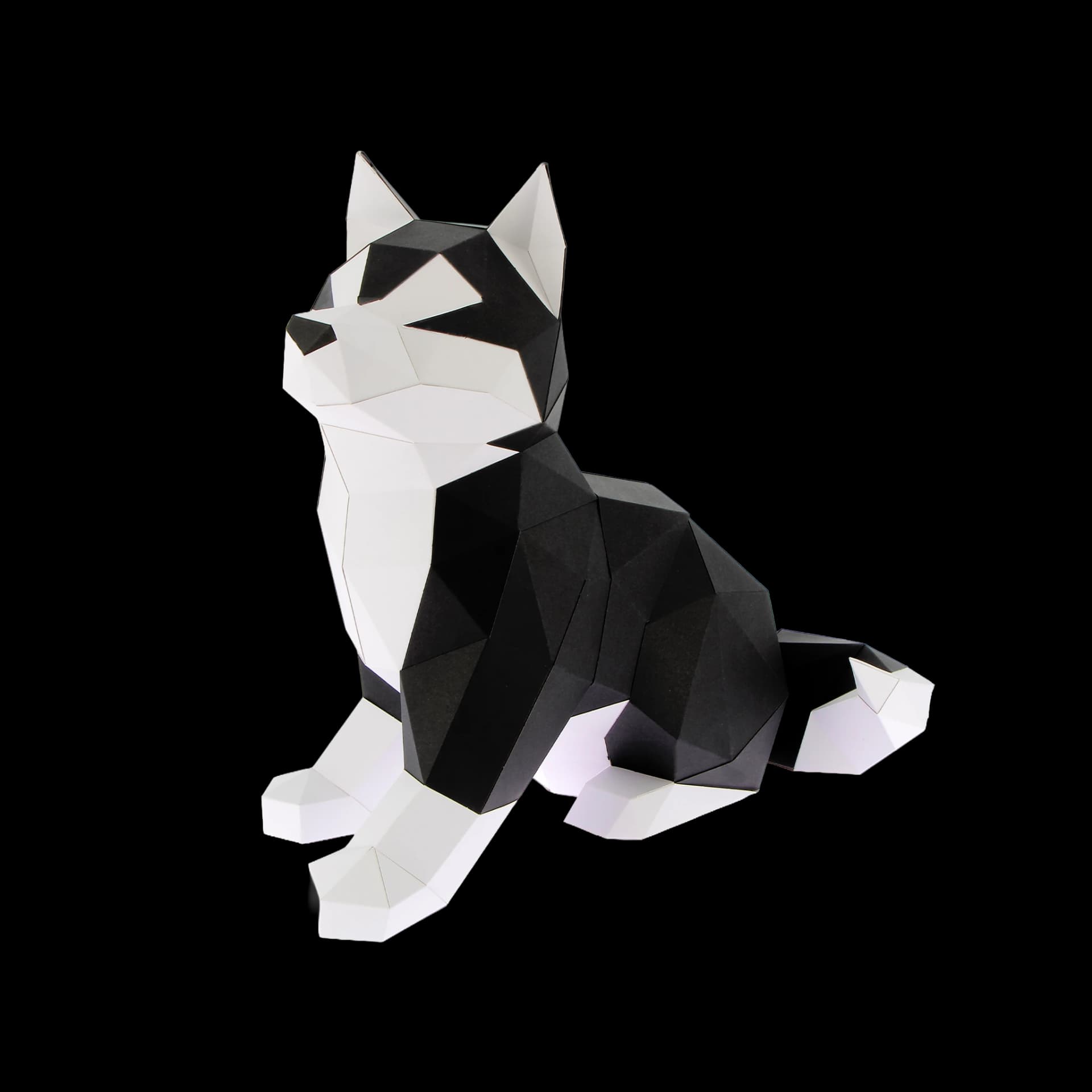 Husky