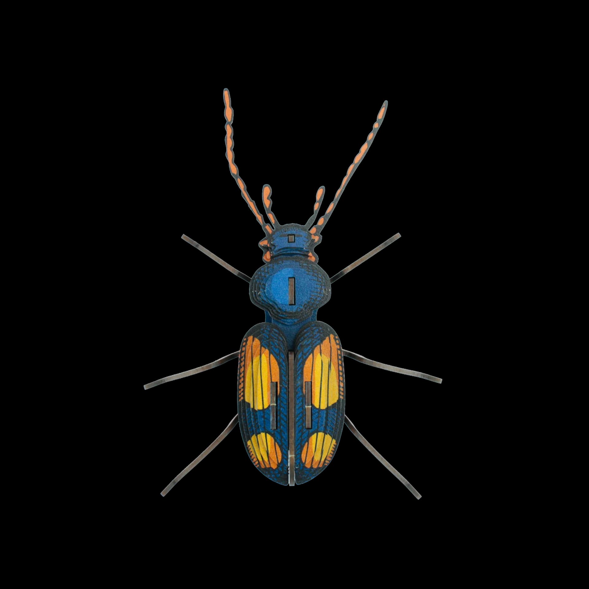 Insecte - Chatouillus