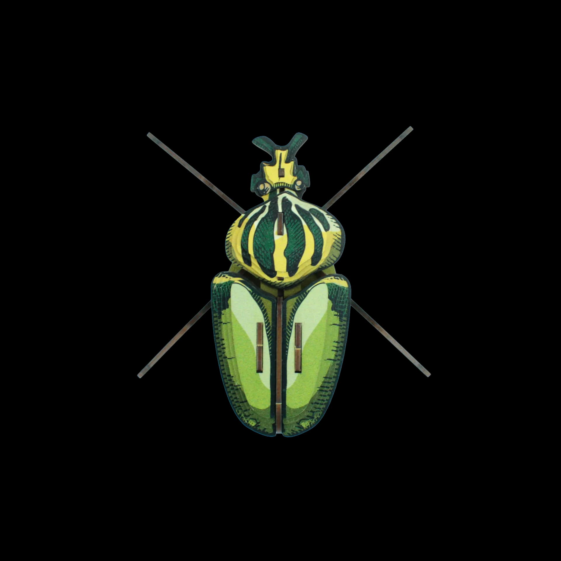 Insecte - Globulus giganticus