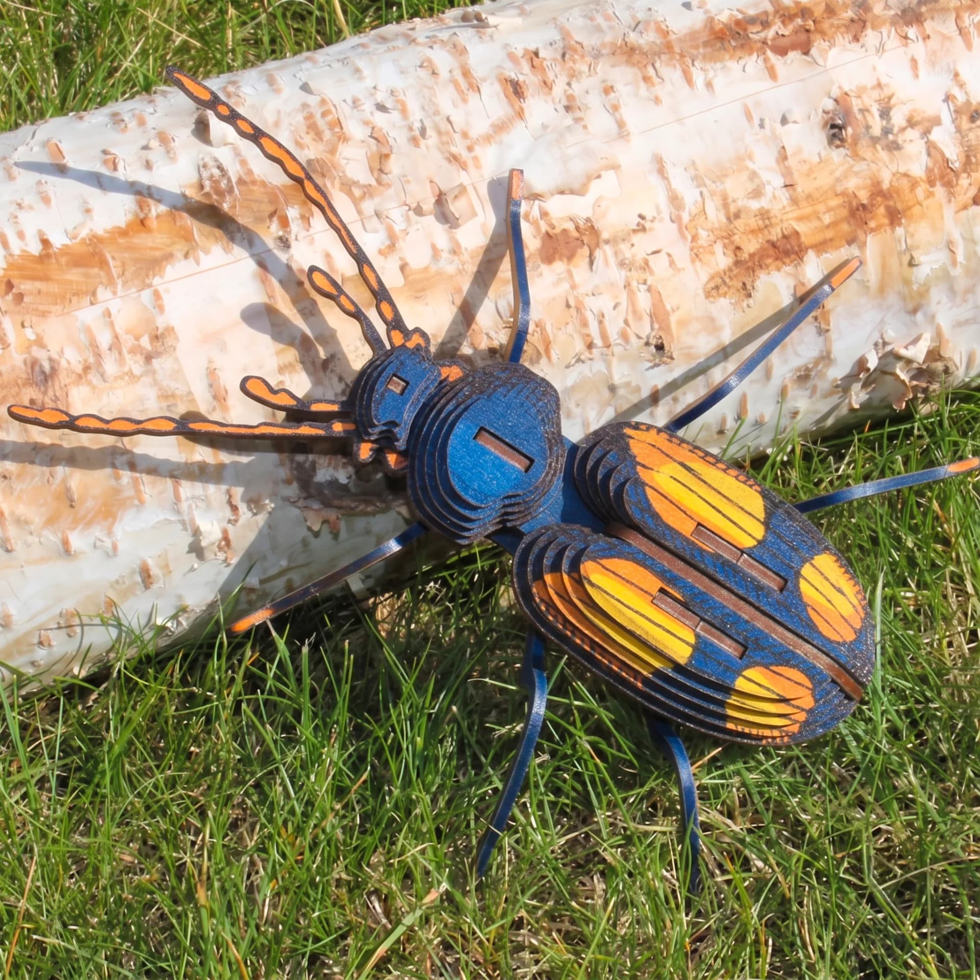 Insecte - Chatouillus Carton en situation