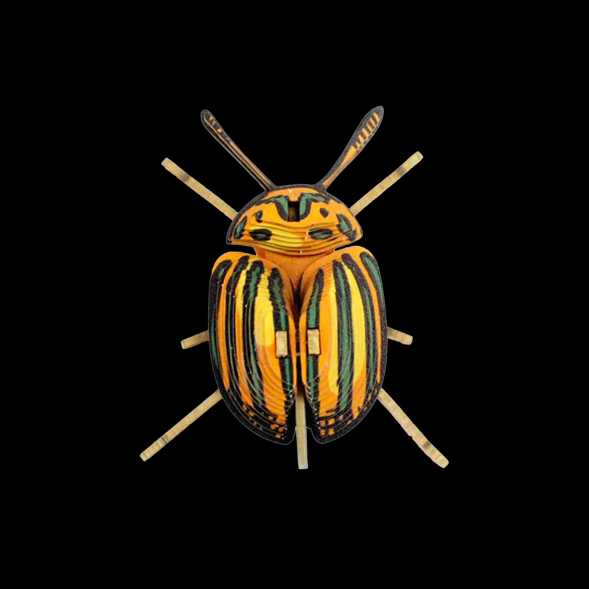 Insecte - Pucetulus