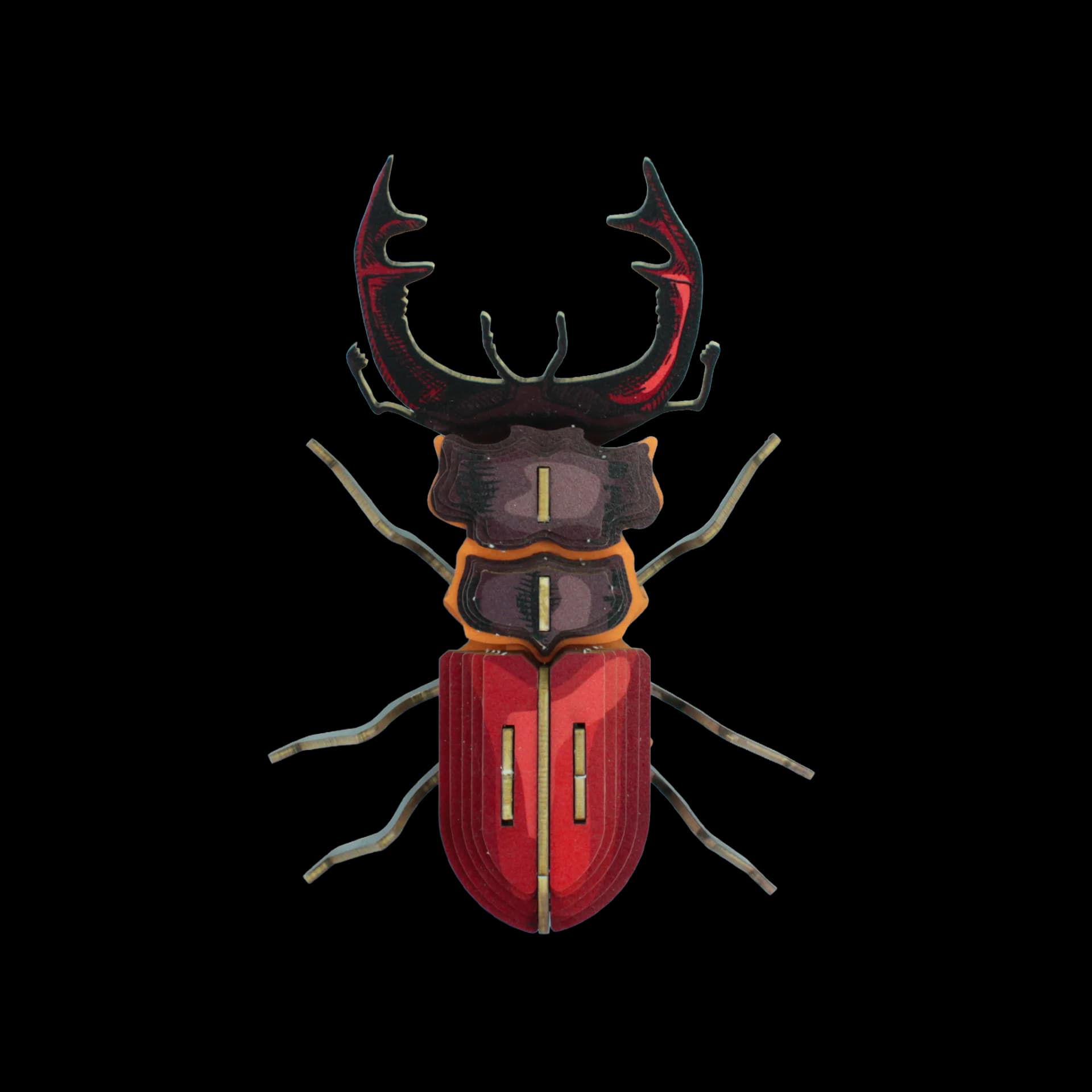 Insecte - Mordicus