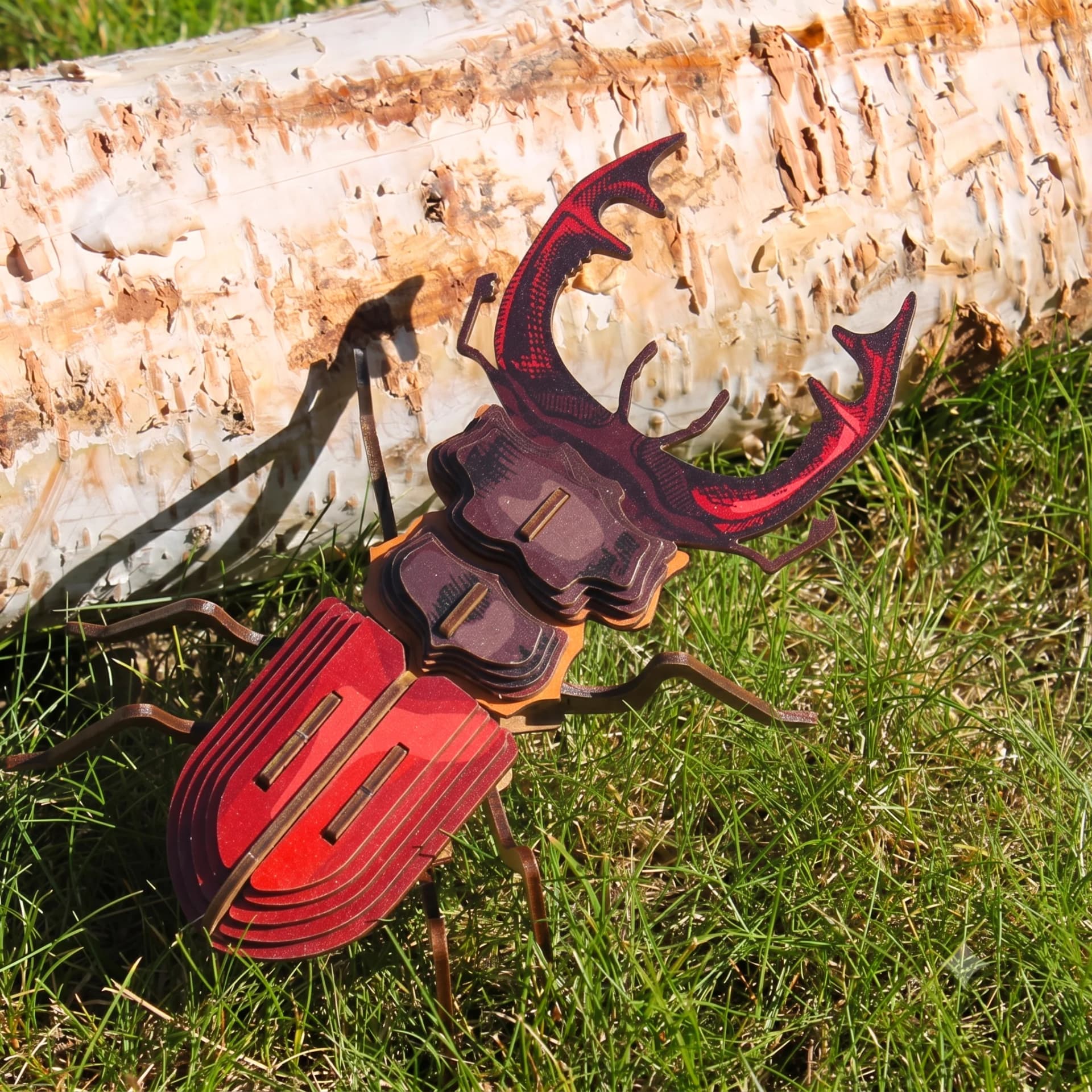 Insecte - Mordicus Carton en situation