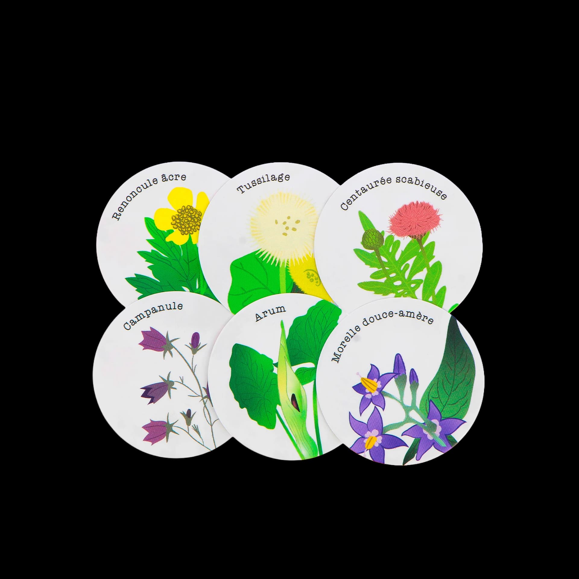 Jeu memory adulte papier balade botanique, cartes recto