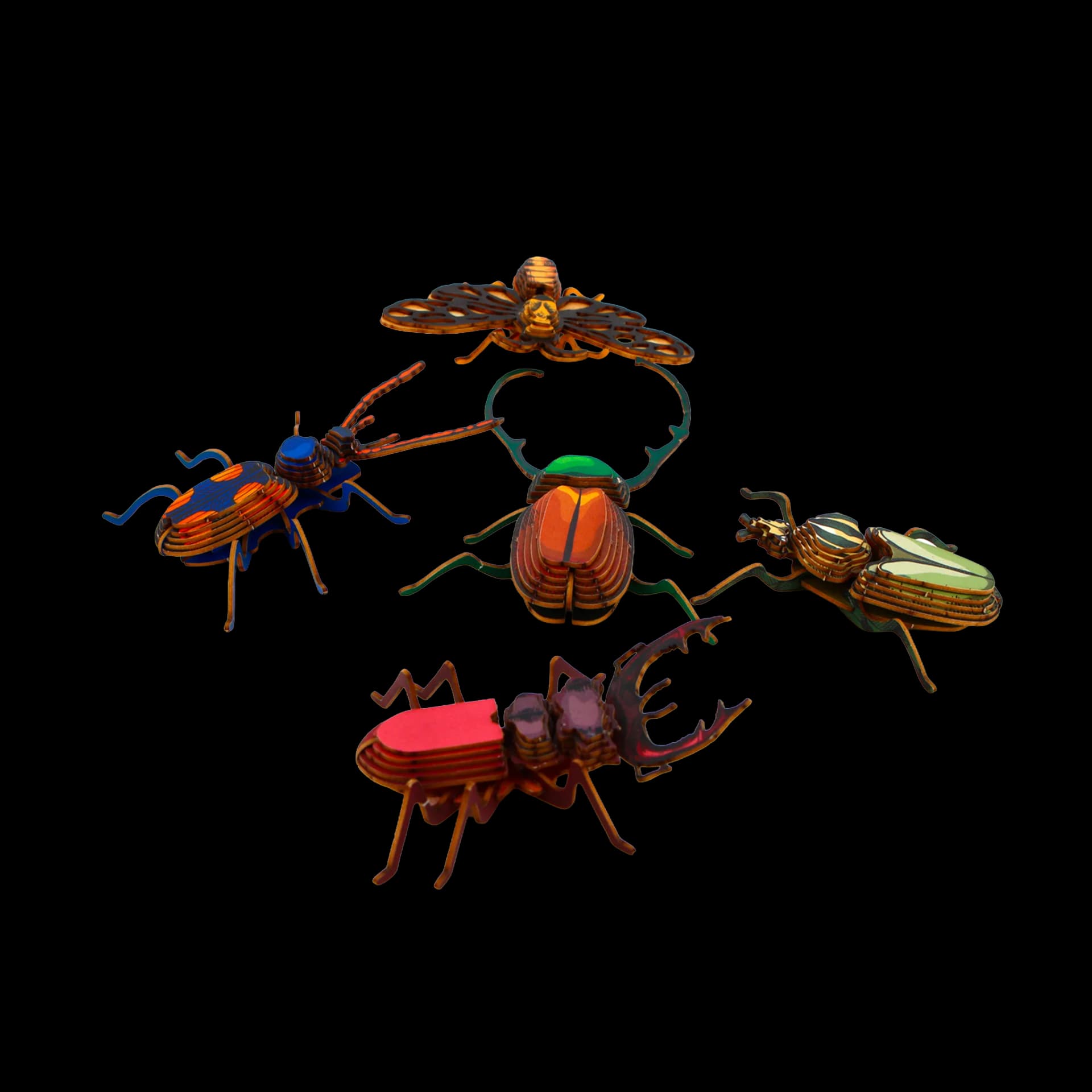 Kit petits insectes
