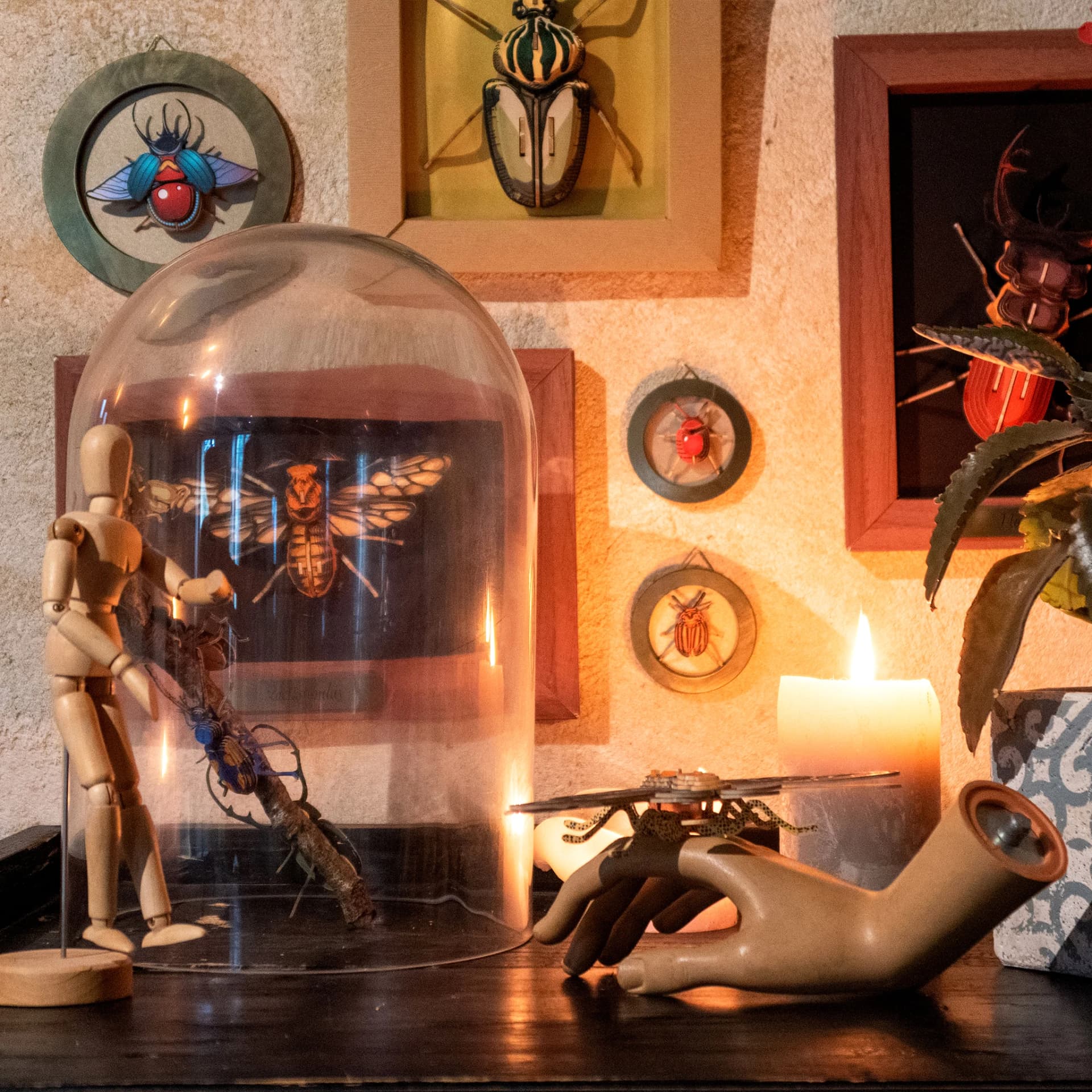 Kit petits insectes
