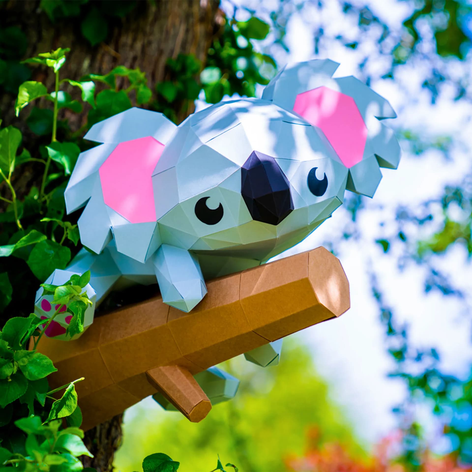 Koala sur branche 