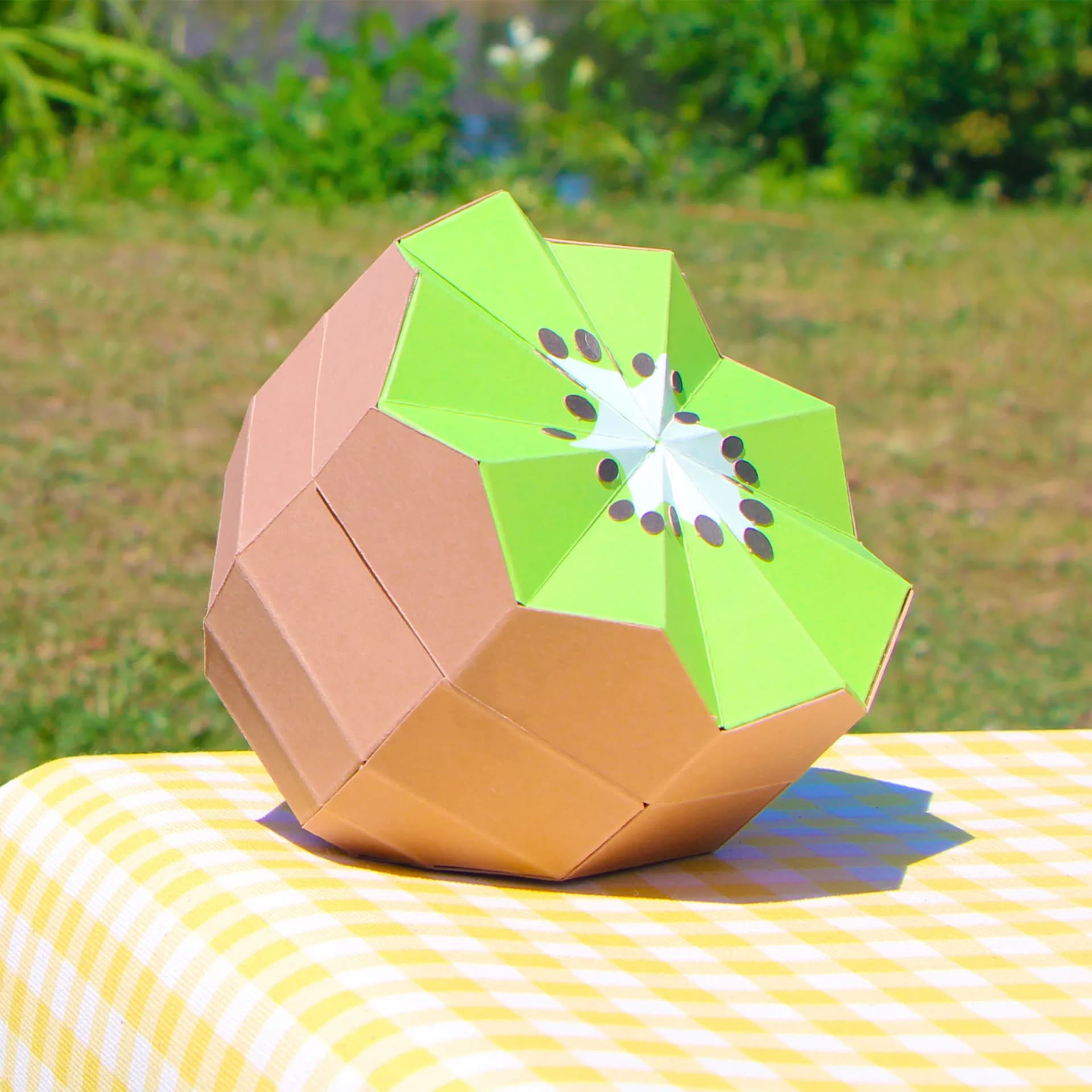 Kiwi en papier en situation