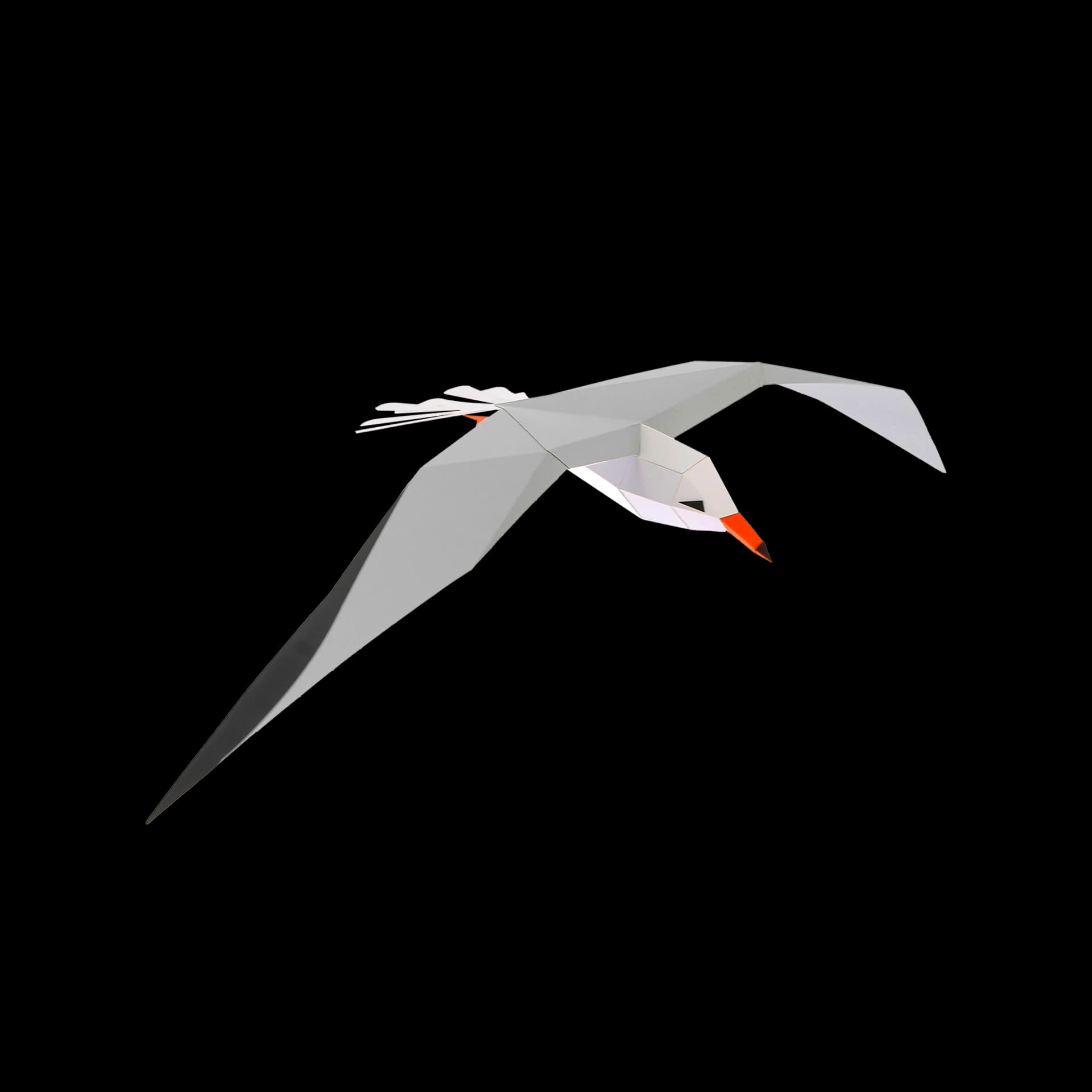 Mouette Rieuse