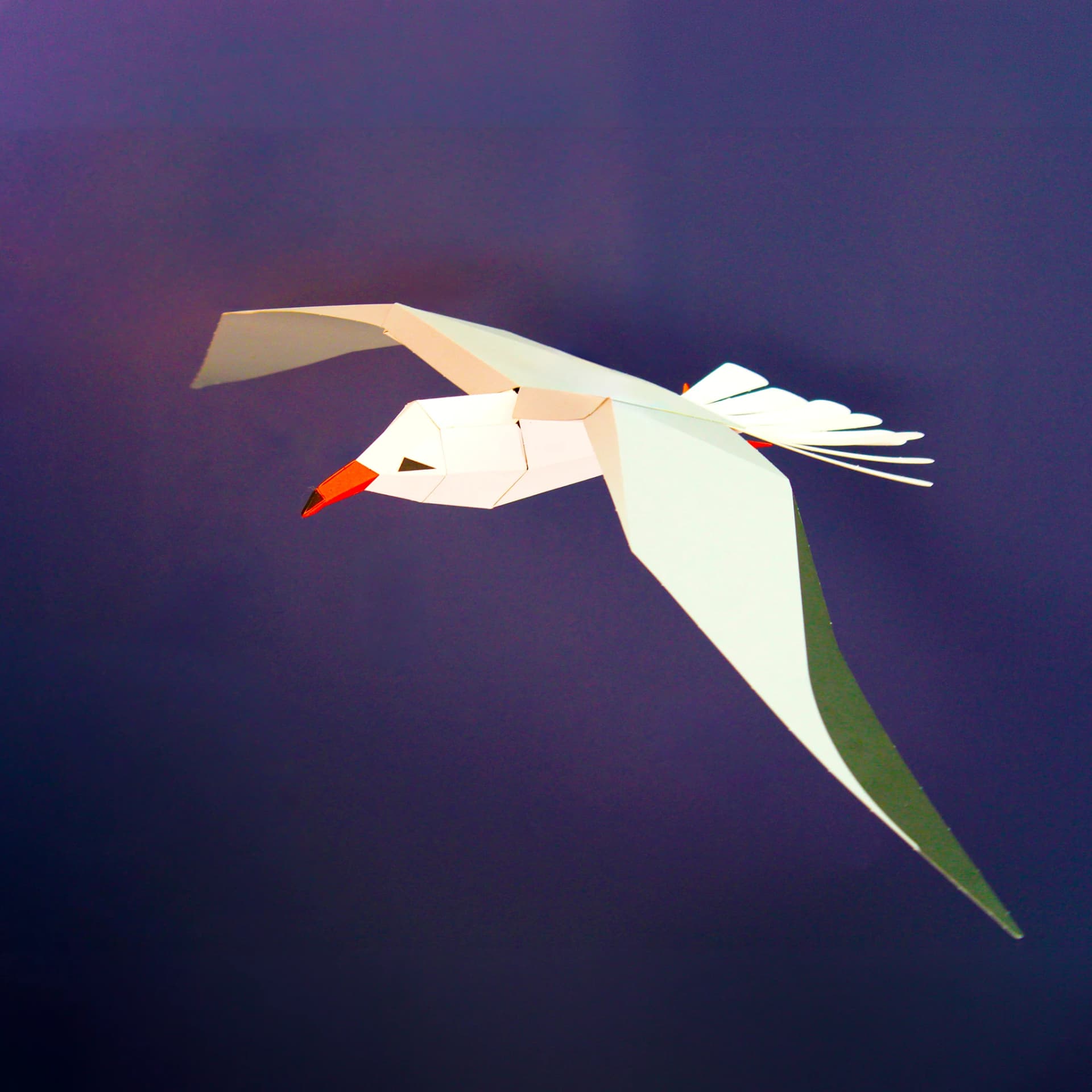 Mouette Rieuse en papier en situation