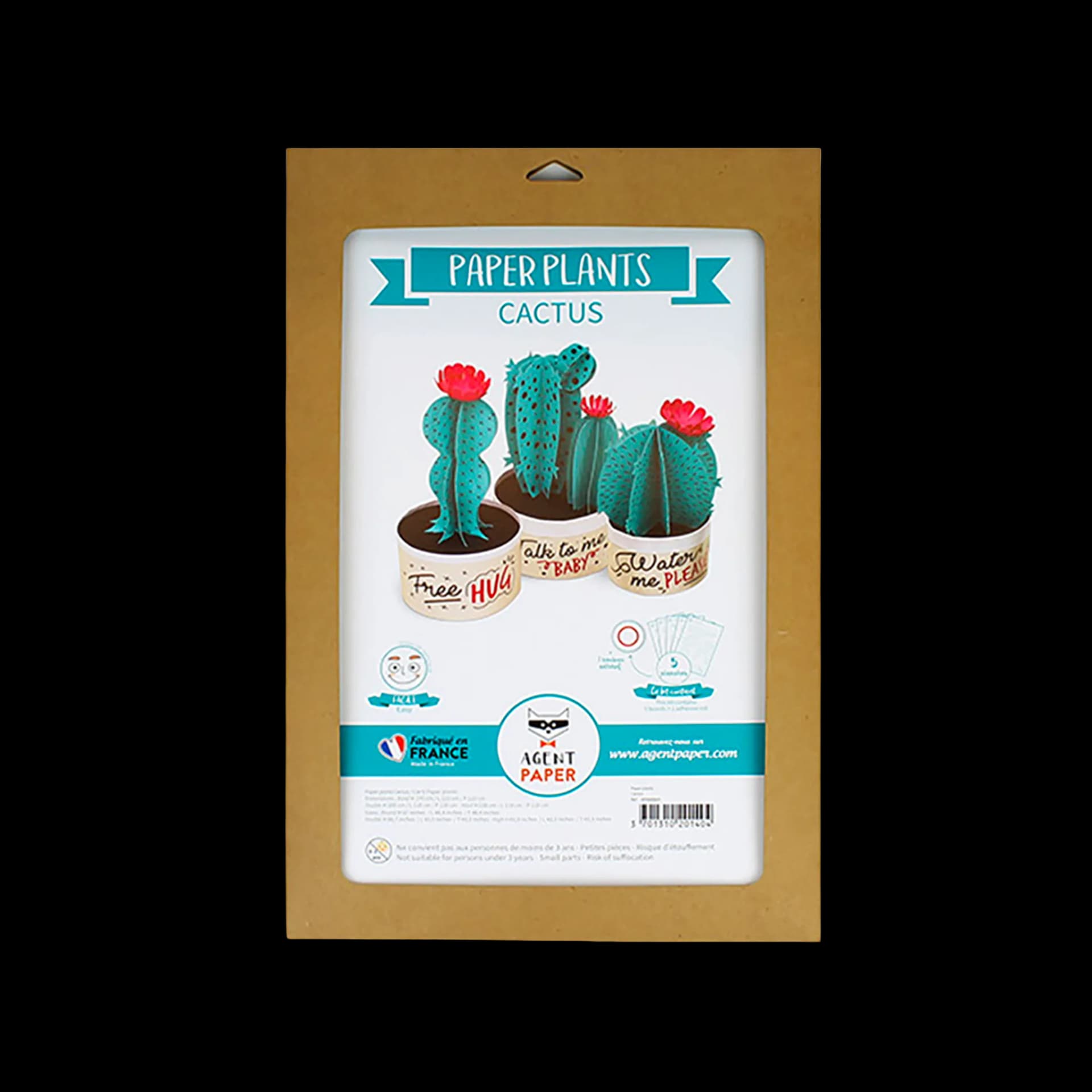 Packaging de Paper plants Cactus