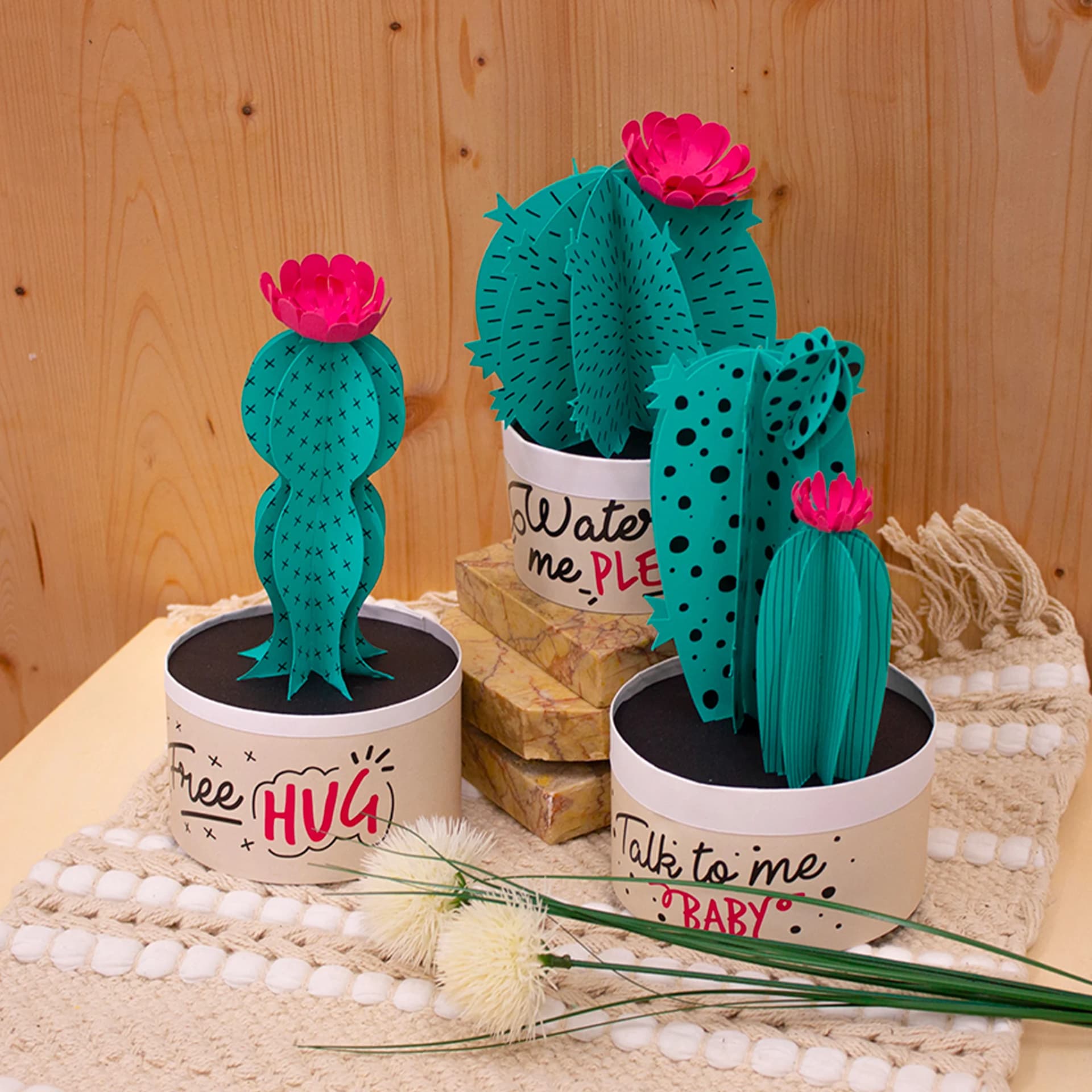Paper plants Cactus en situation
