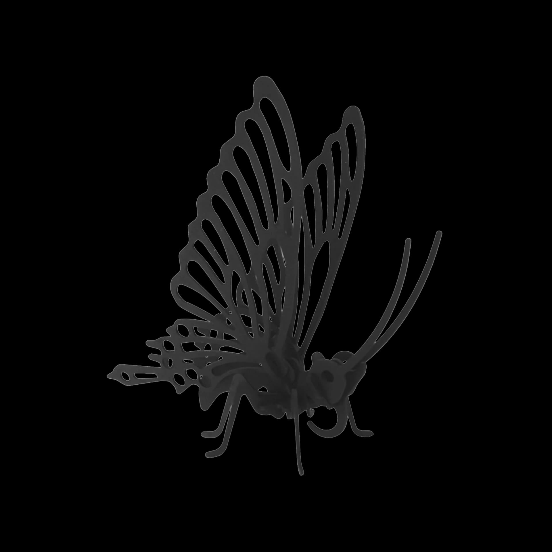 Papillon