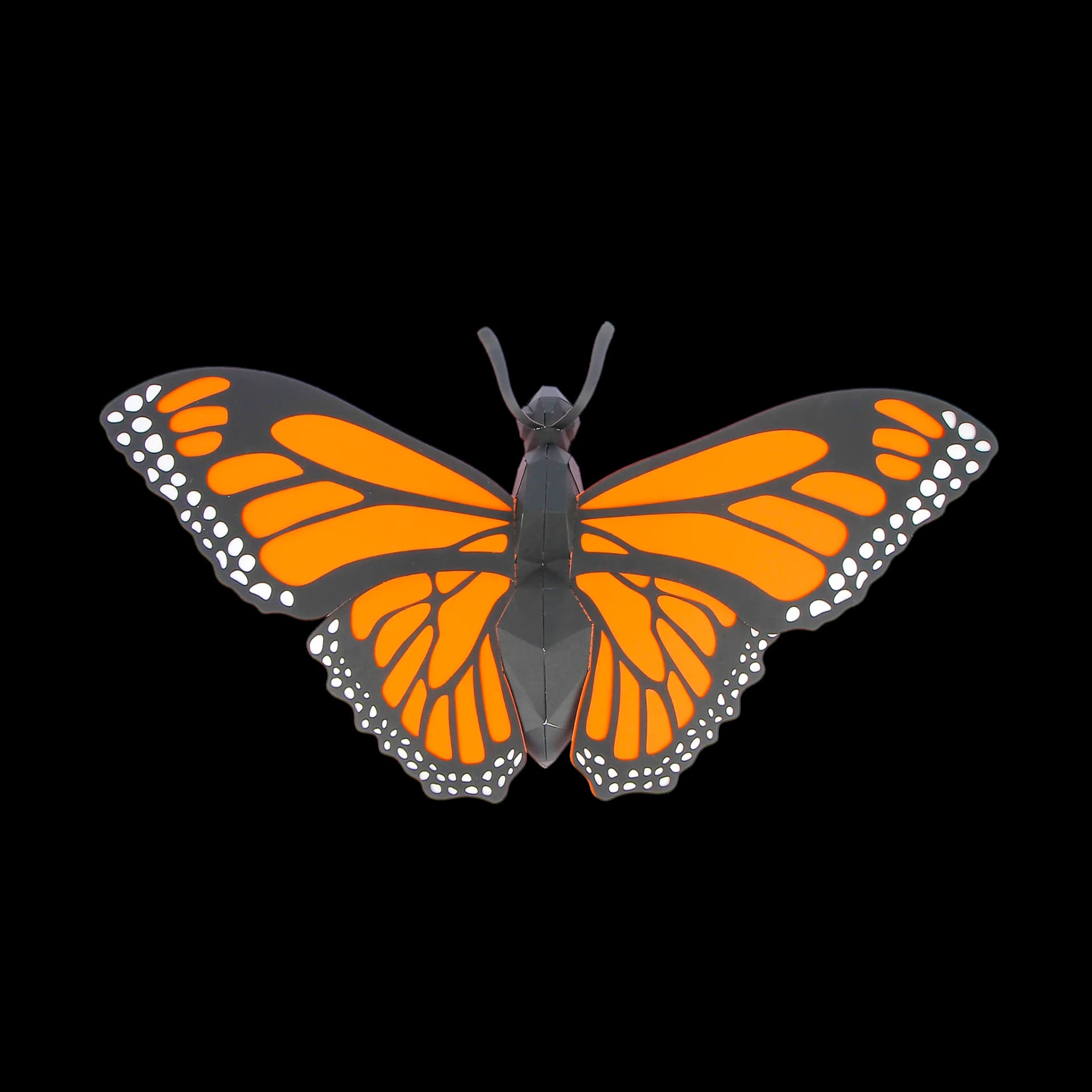 Papillon Monarque