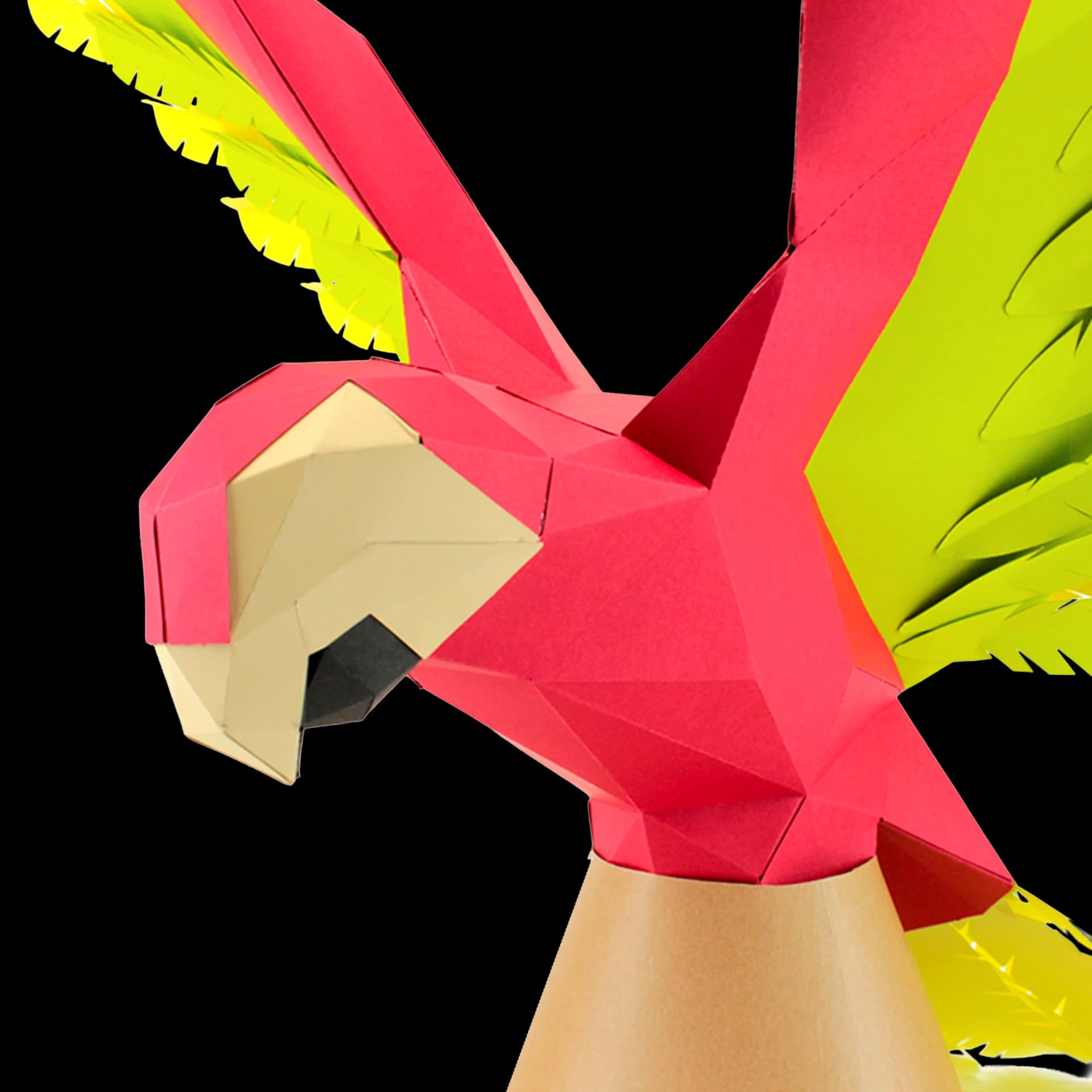 Zoom sur le perroquet en papier 3D Vert et rouge