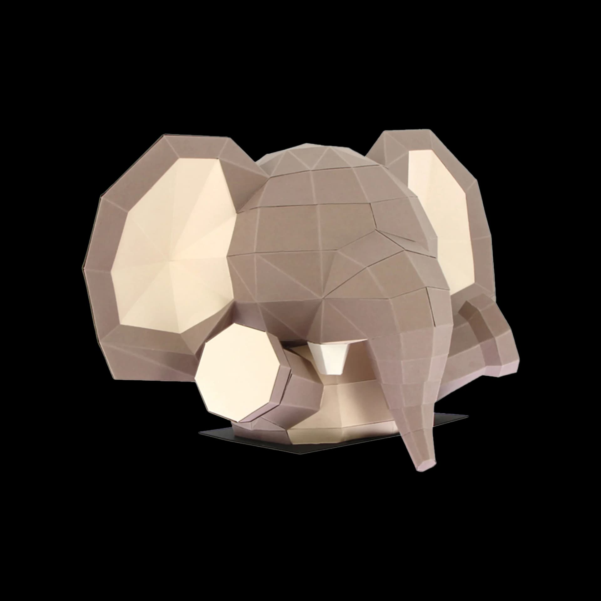 Petit Éléphant Surprise