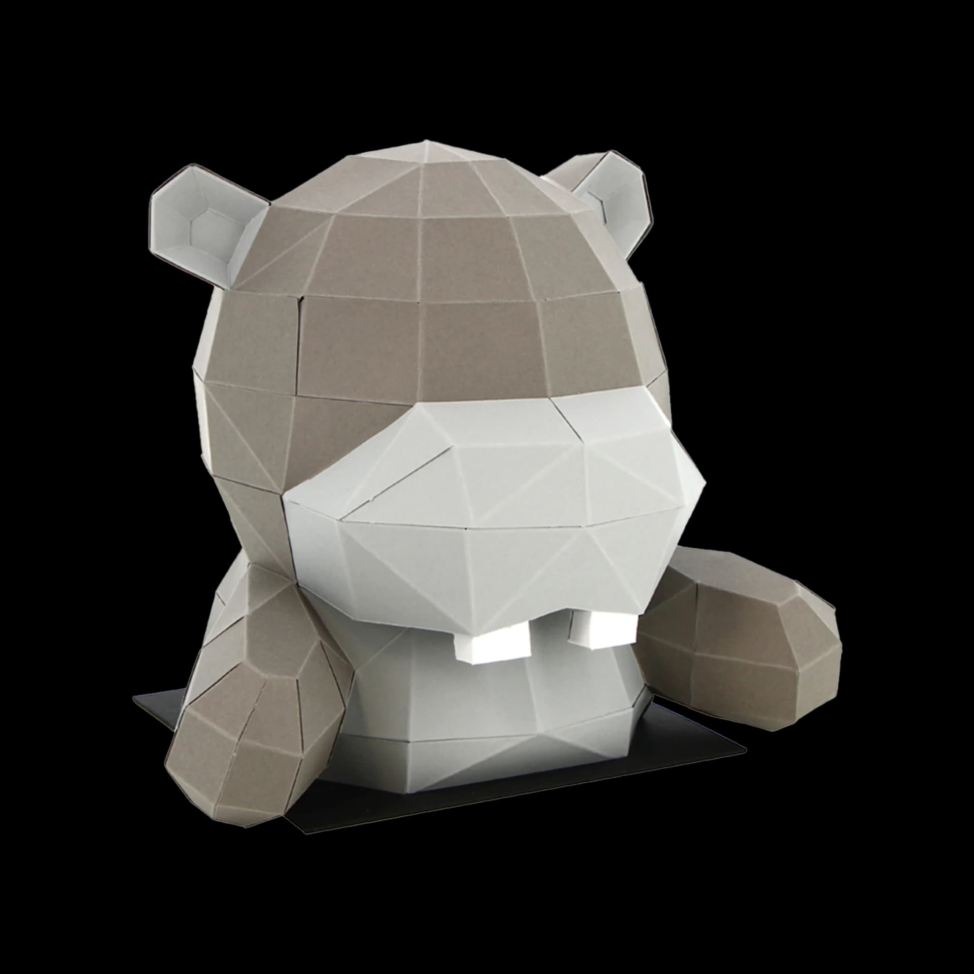Petit Hippopotame Surprise