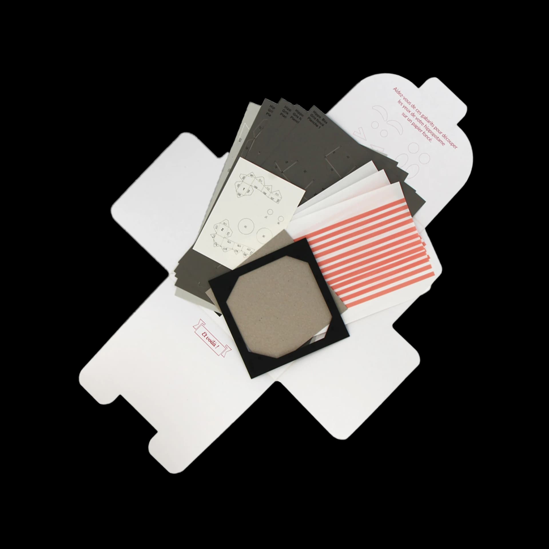 Packaging ouvert de Petit Hippopotame Surprise