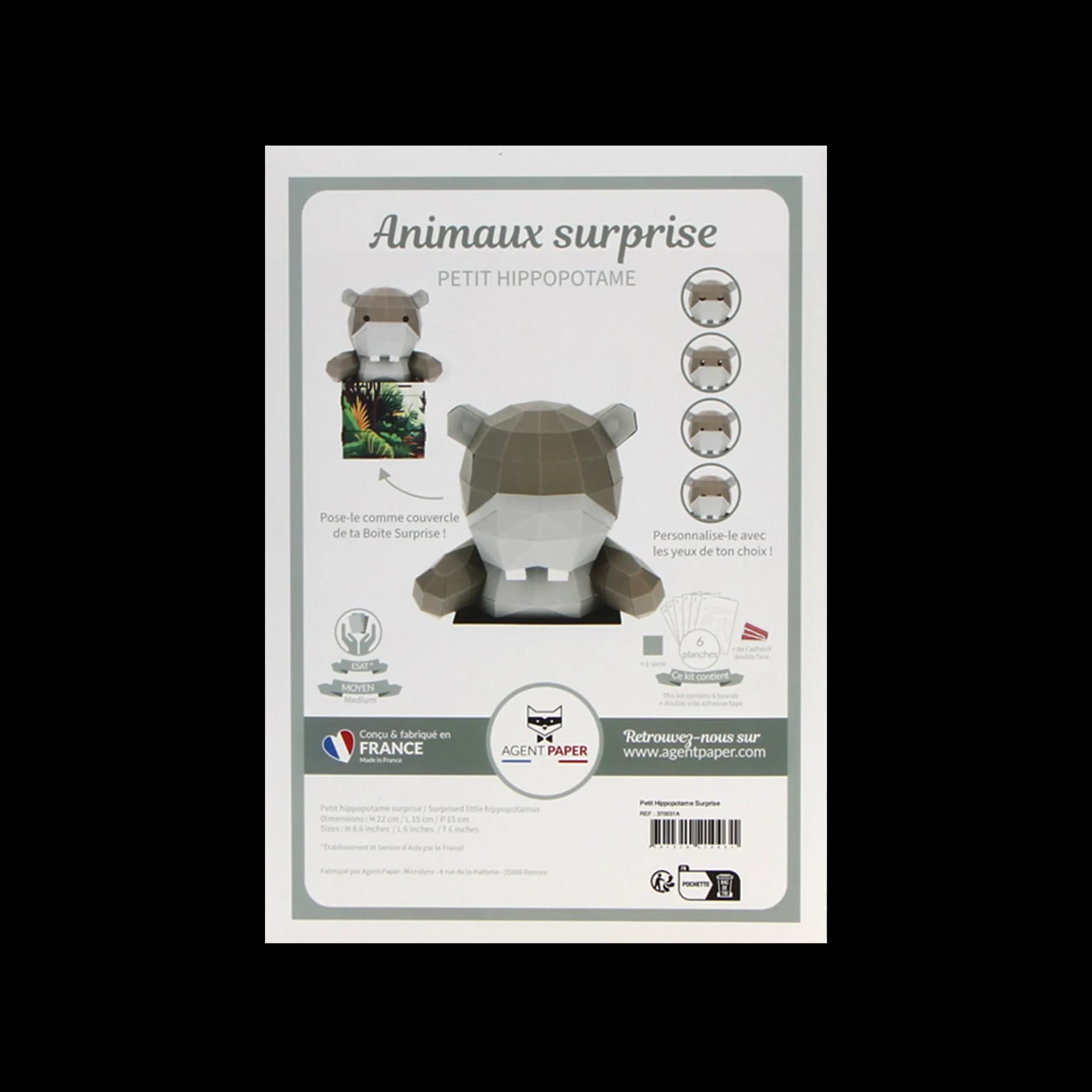 Packaging fermé de Petit Hippopotame Surprise