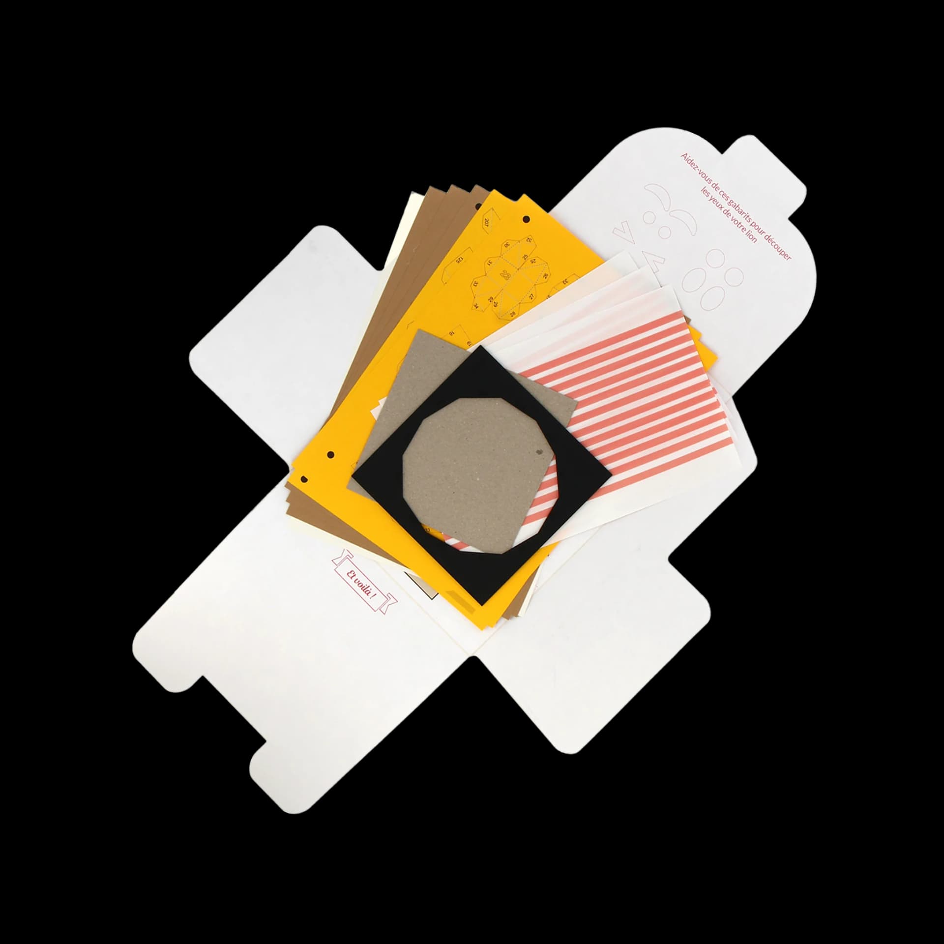 Packaging ouvert de Petit Lion Surprise