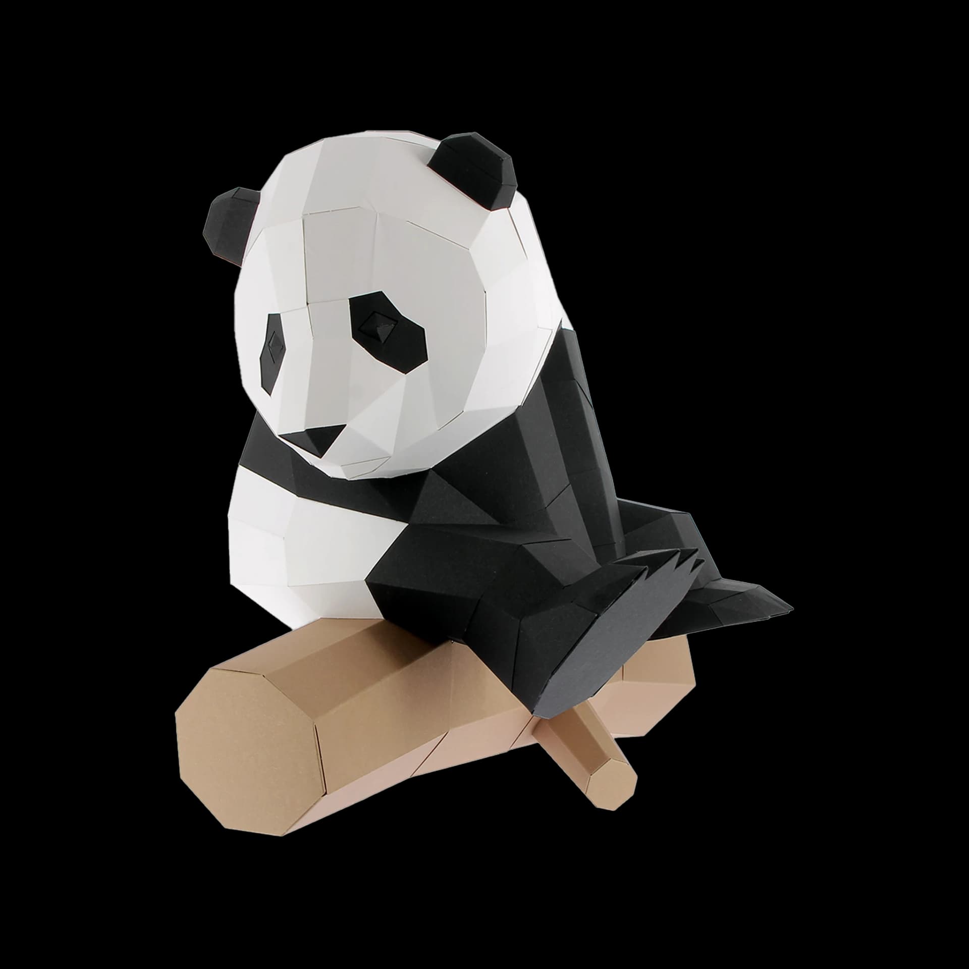 Petit panda sur branche