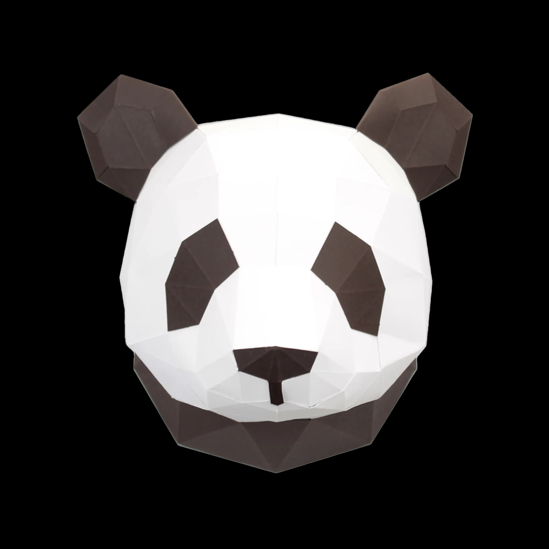 Petit panda Chocolat