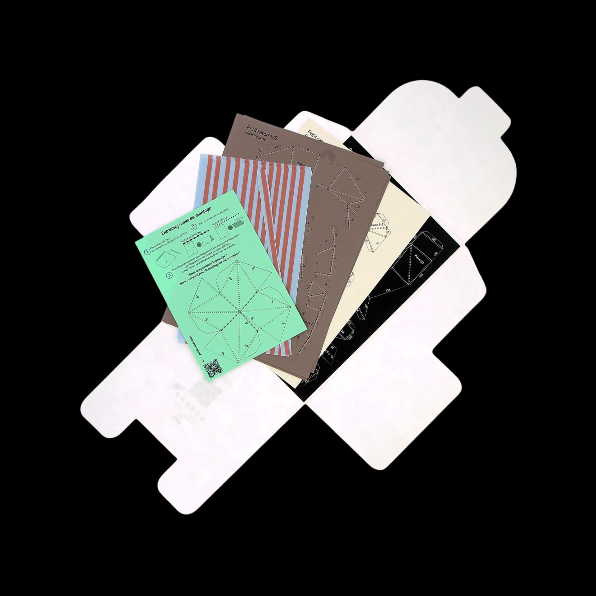 Packaging ouvert de Petit raton Gris