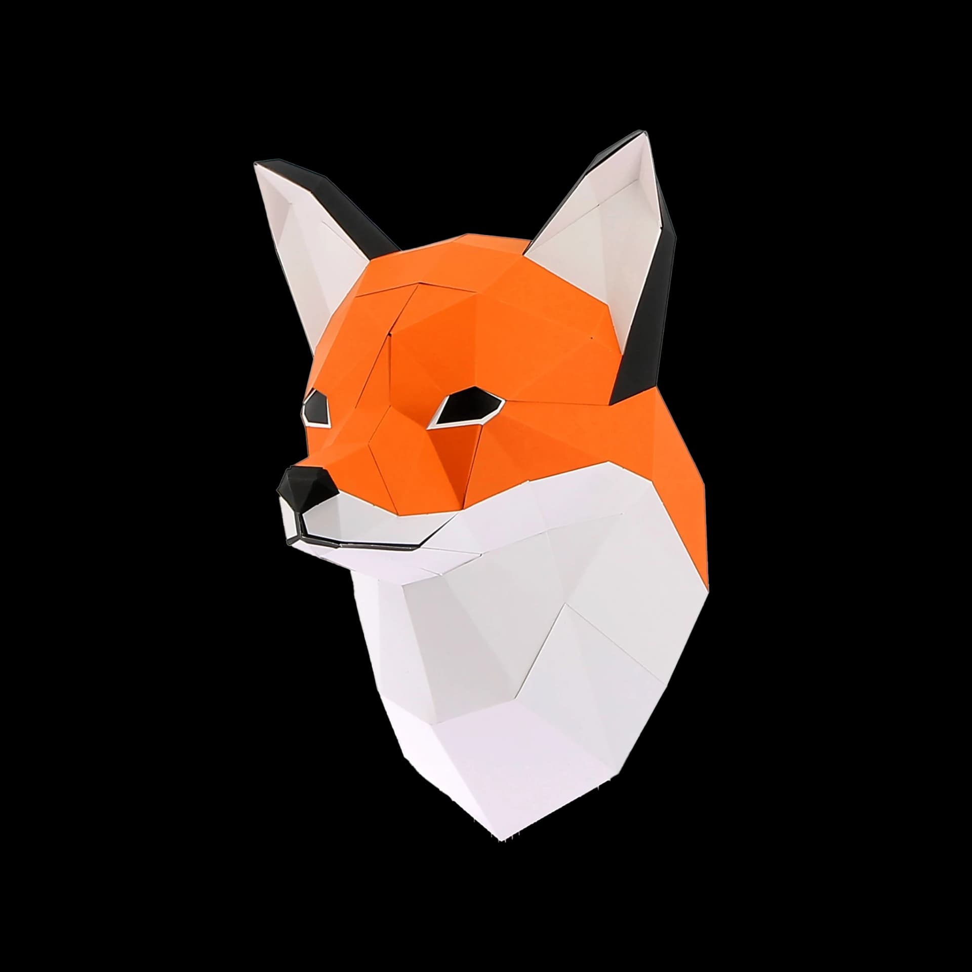 Petit renard