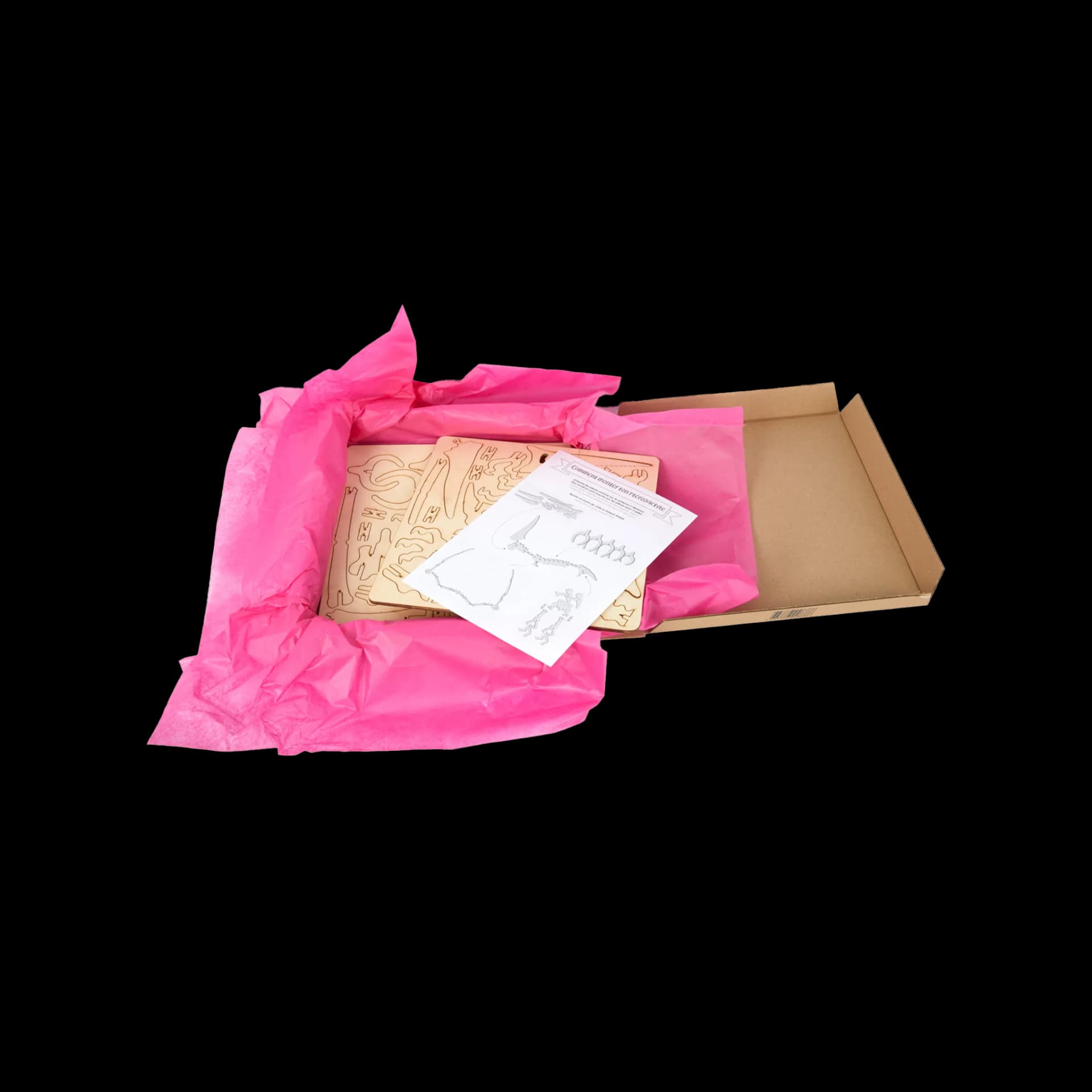 Packaging ouvert de Ptérodactyle en bois