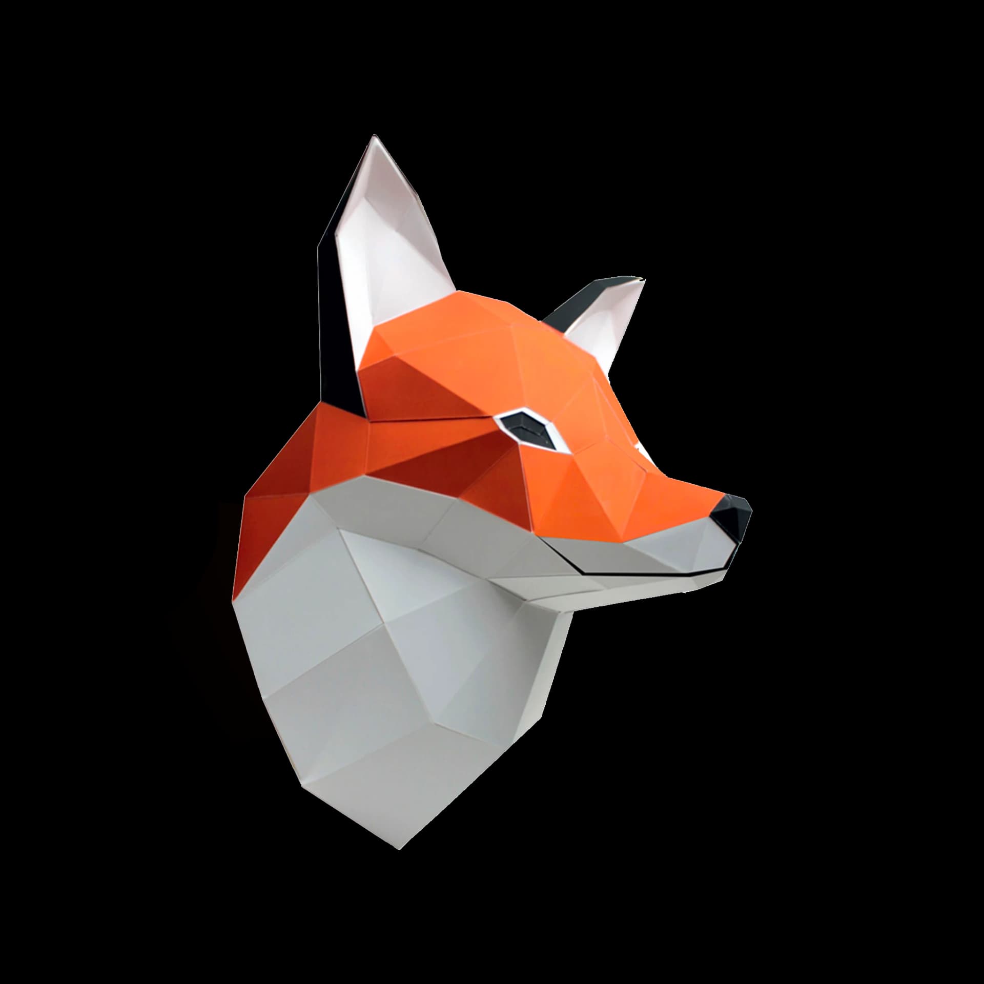 Renard