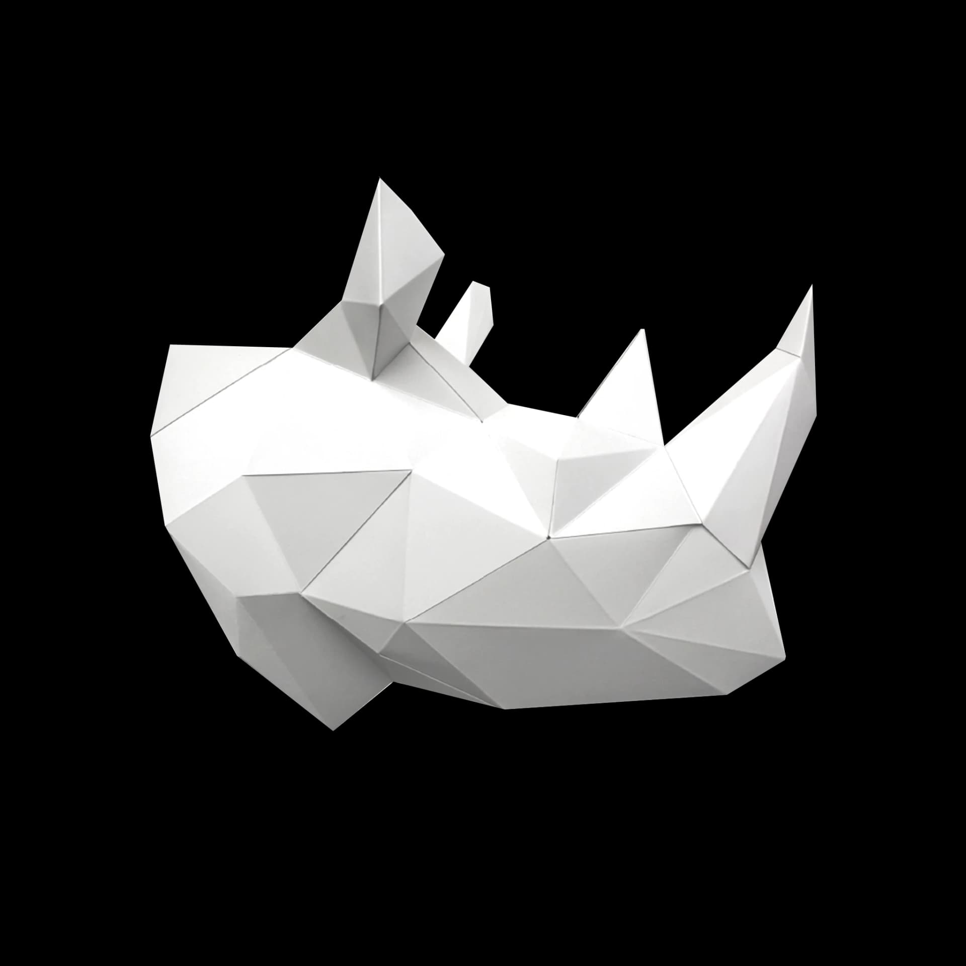 Rhinocéros