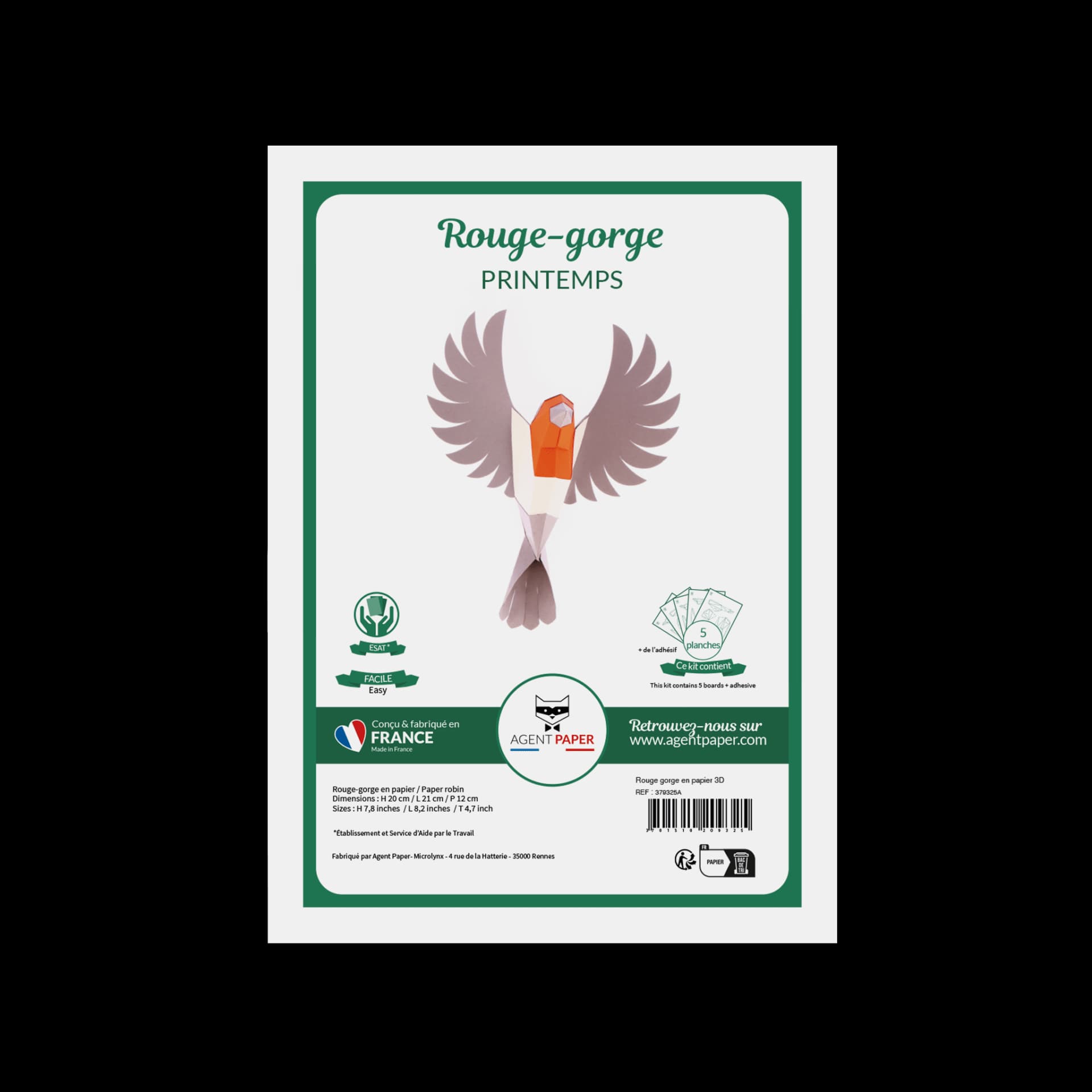 Kit du Rouge gorge en papier 3D
