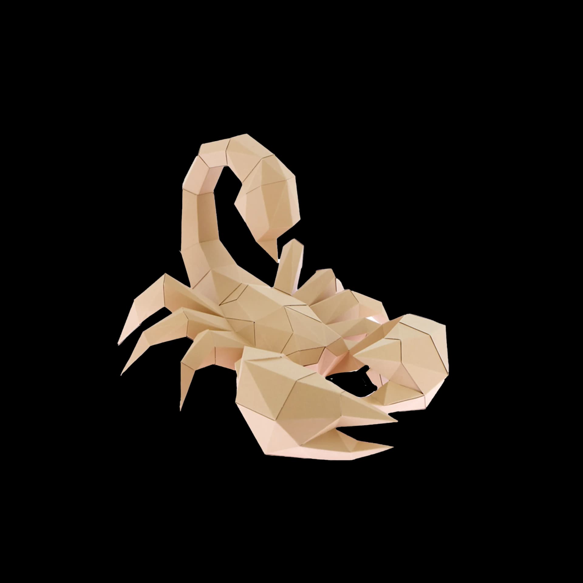 Scorpion
