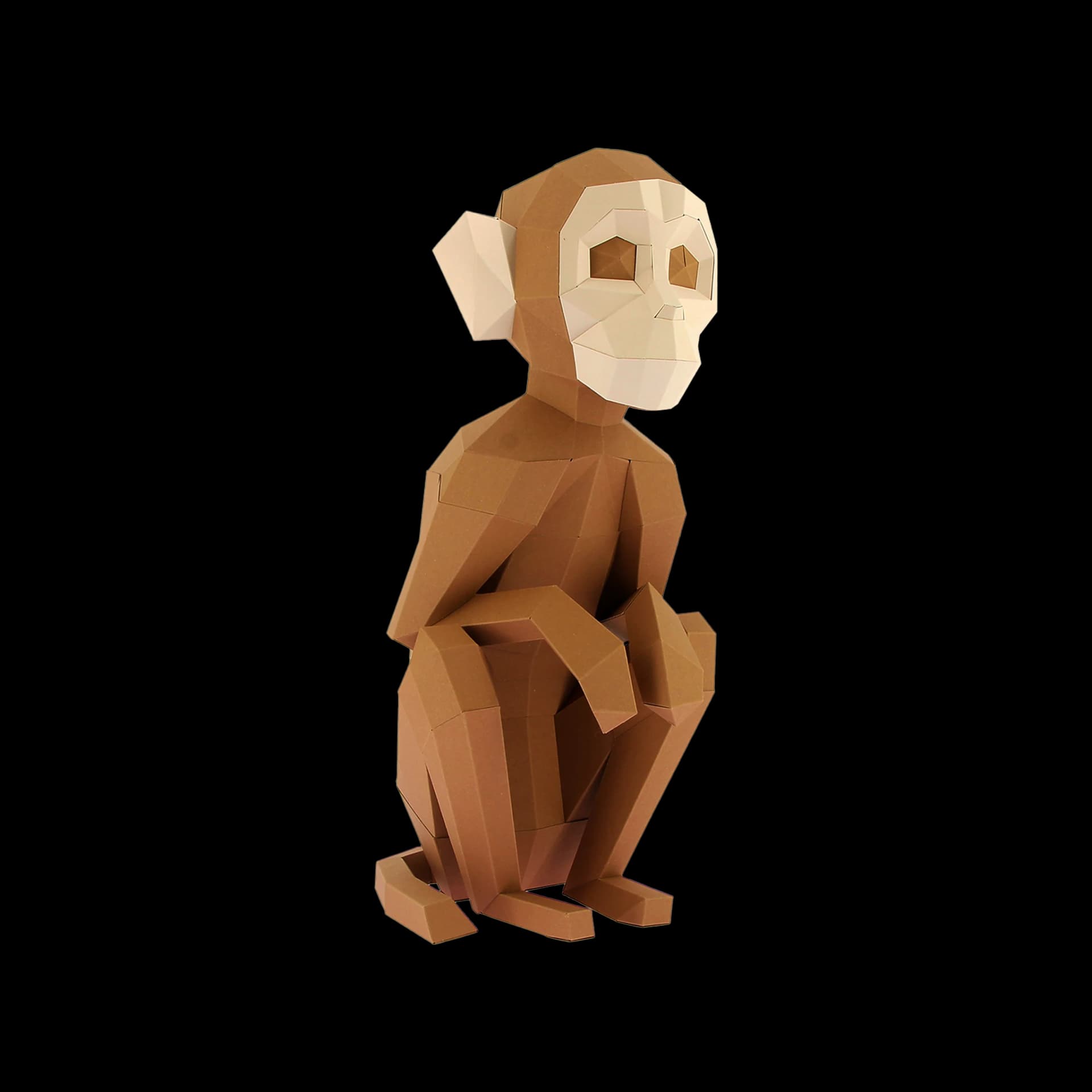 Singe Assis