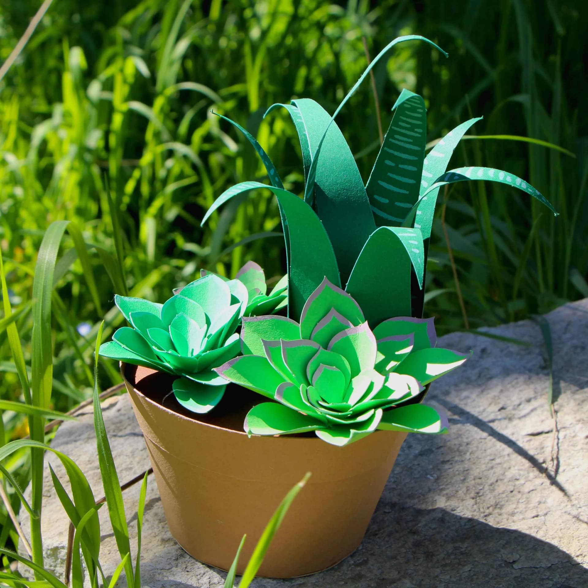 Décoration succulentes en papier exposée dans un jardin au sol